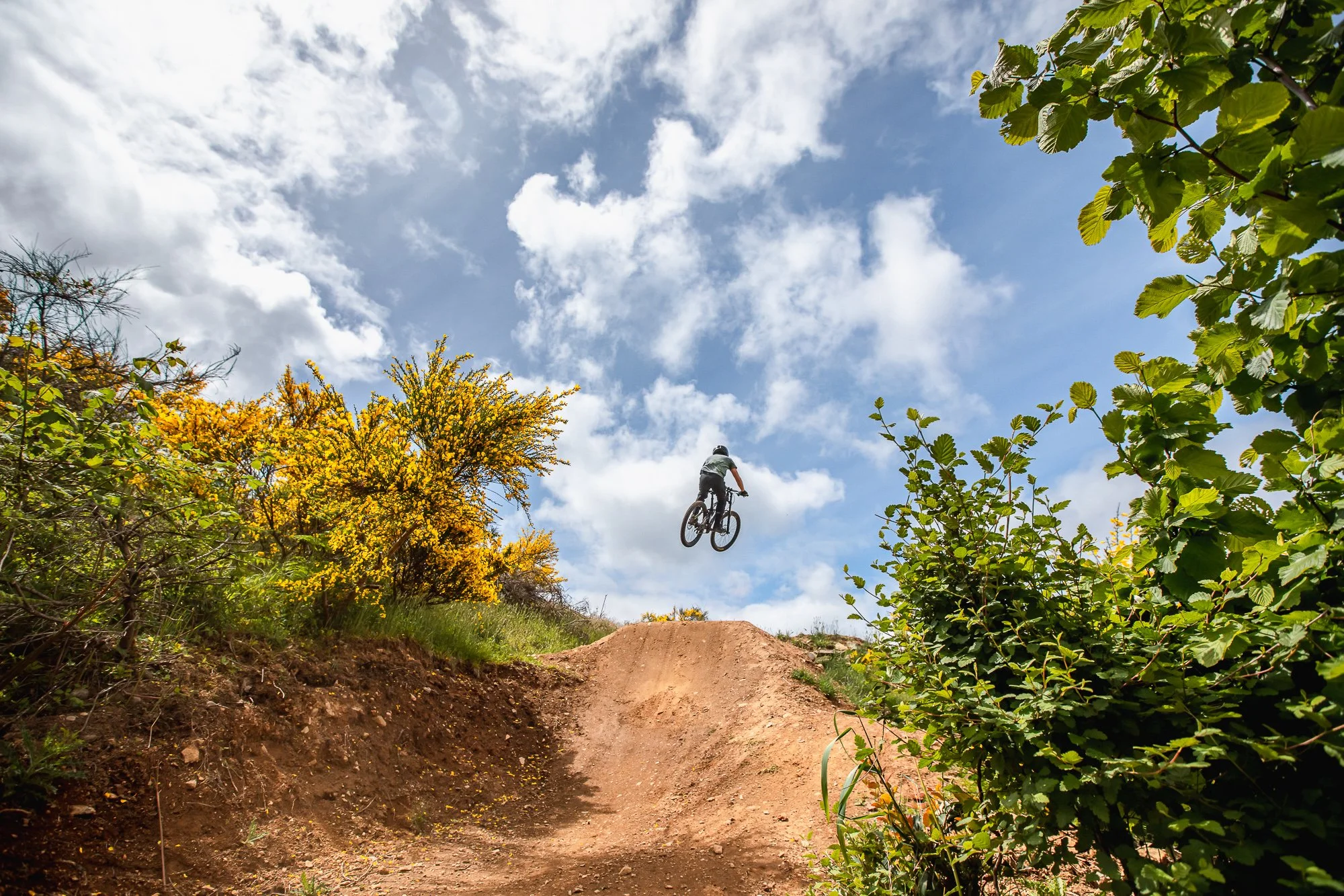 Bear Mt Mountain Bikes_-25.jpg