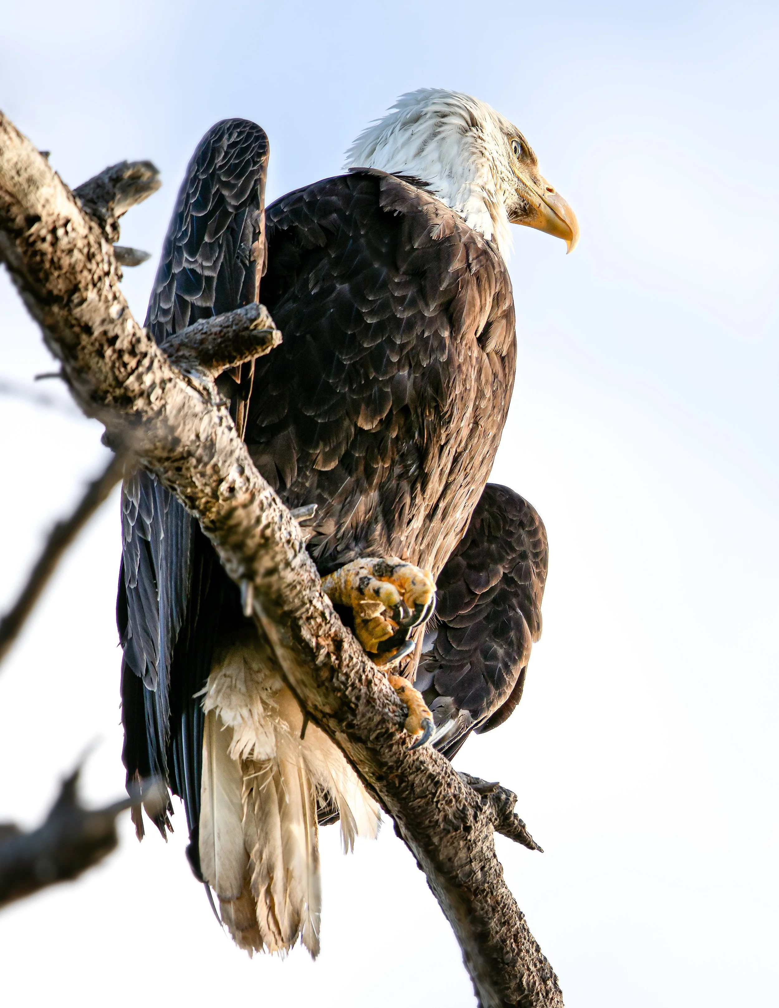 Powell River Photos-15.jpg