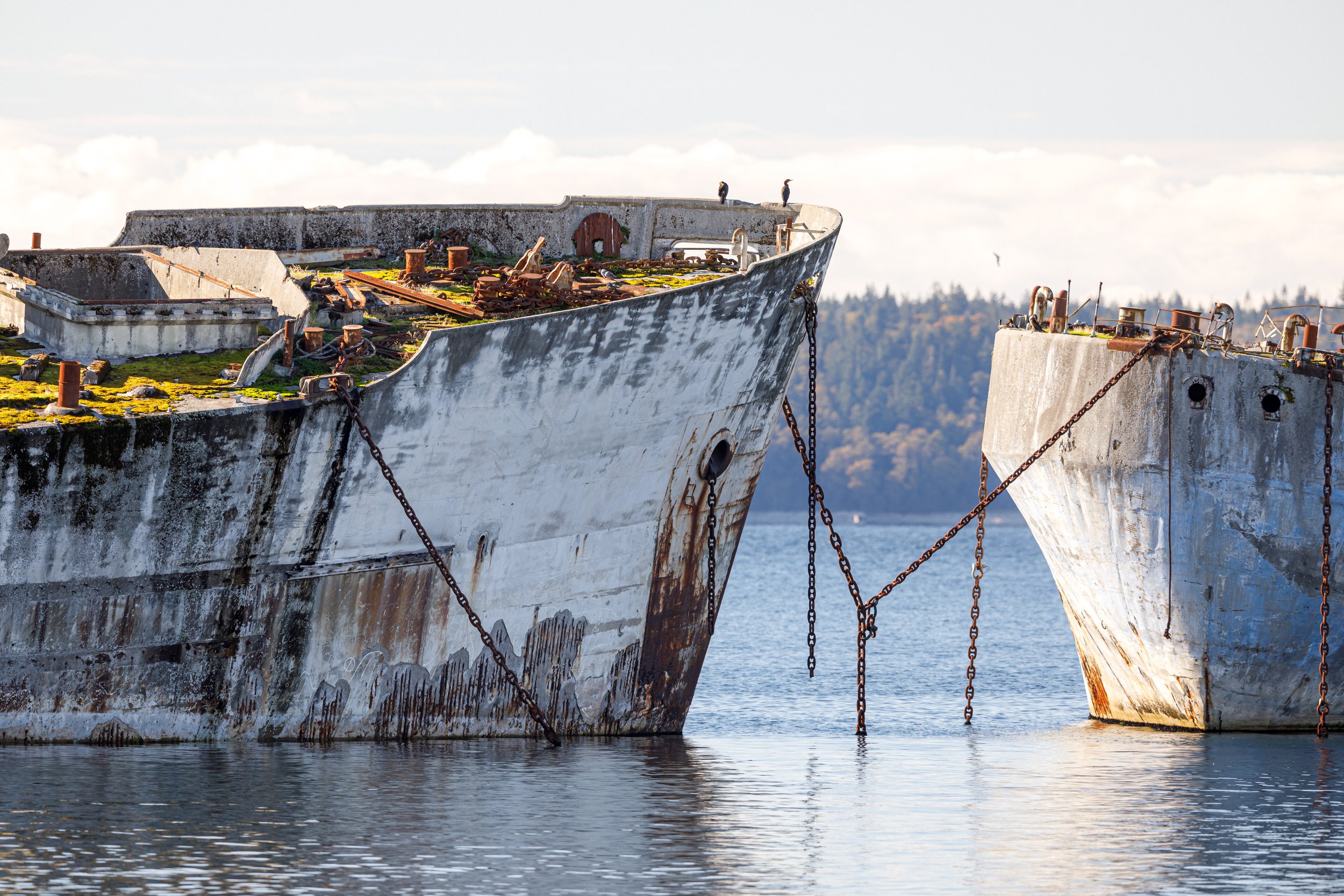 Powell River Photos-26.jpg