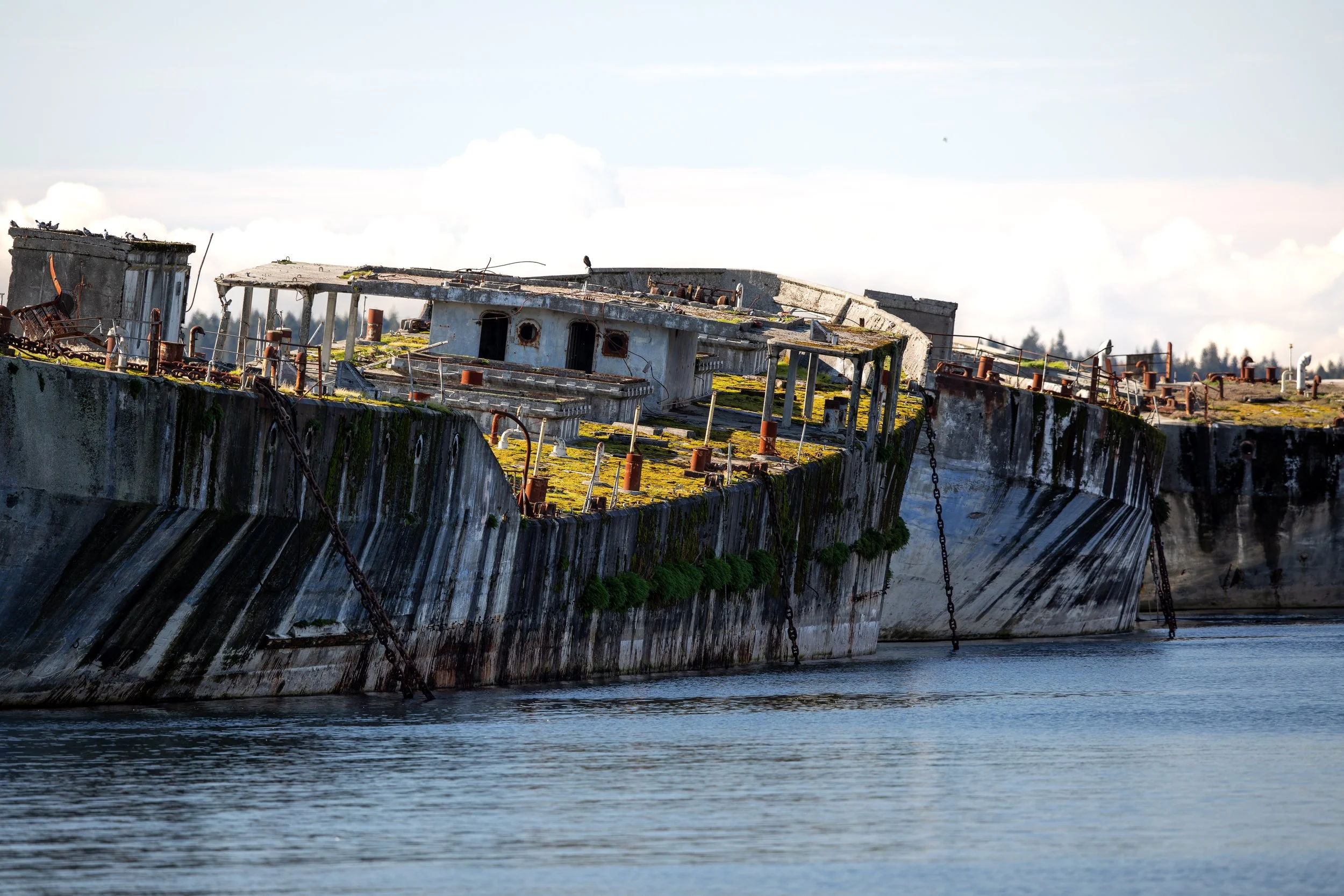 Powellriver_4_2024_.jpg