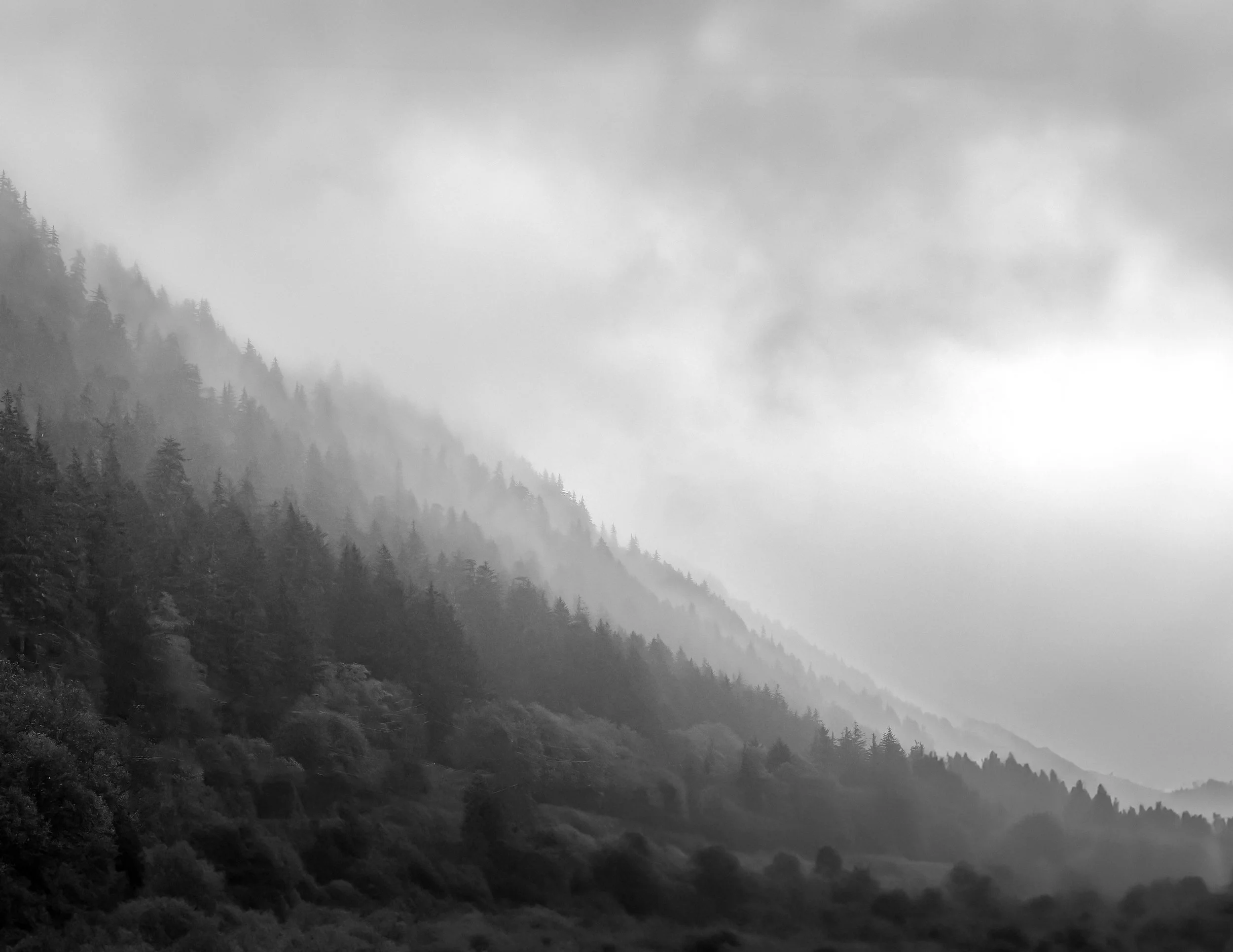 Powellriver_10_2024_.jpg