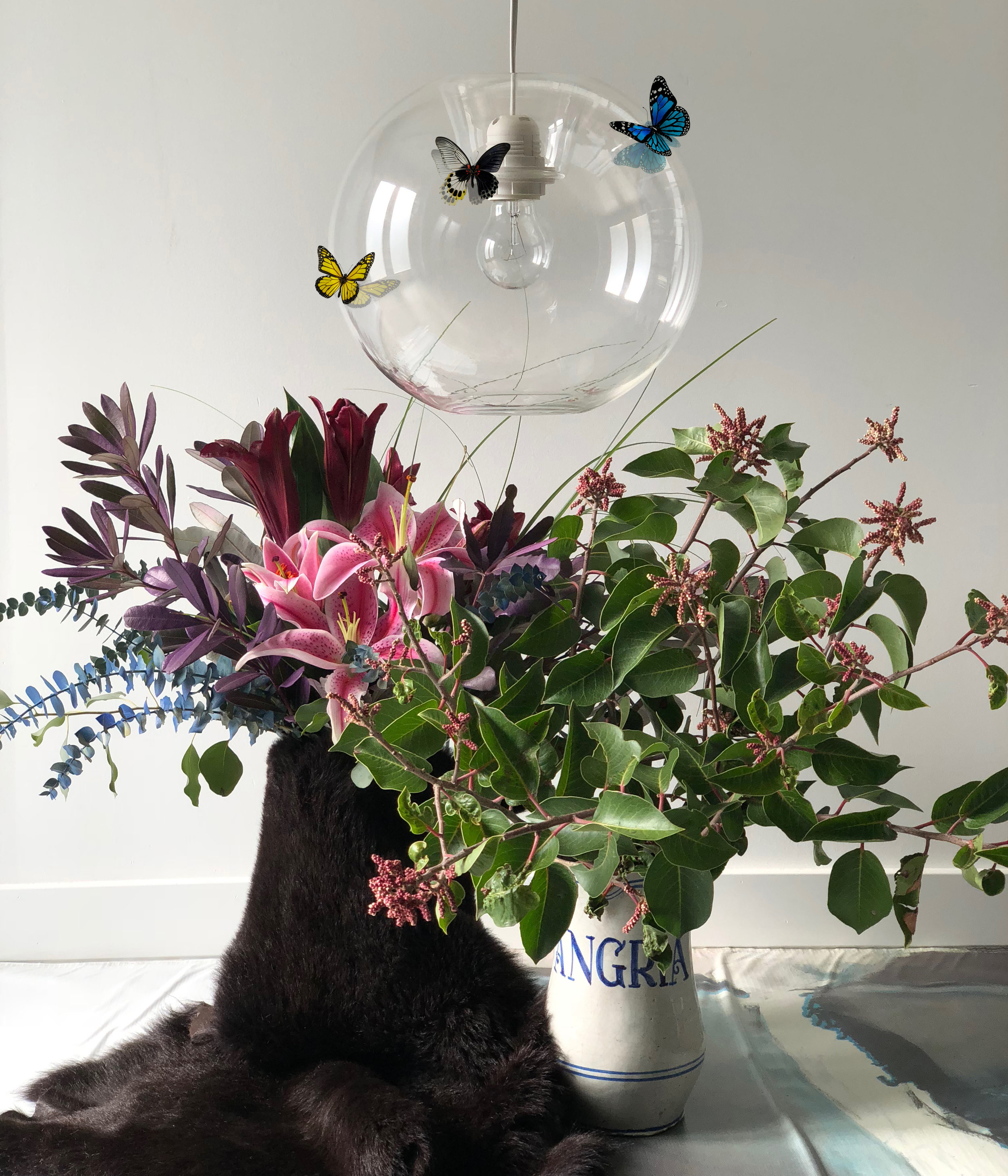 globe_butterfly.jpg