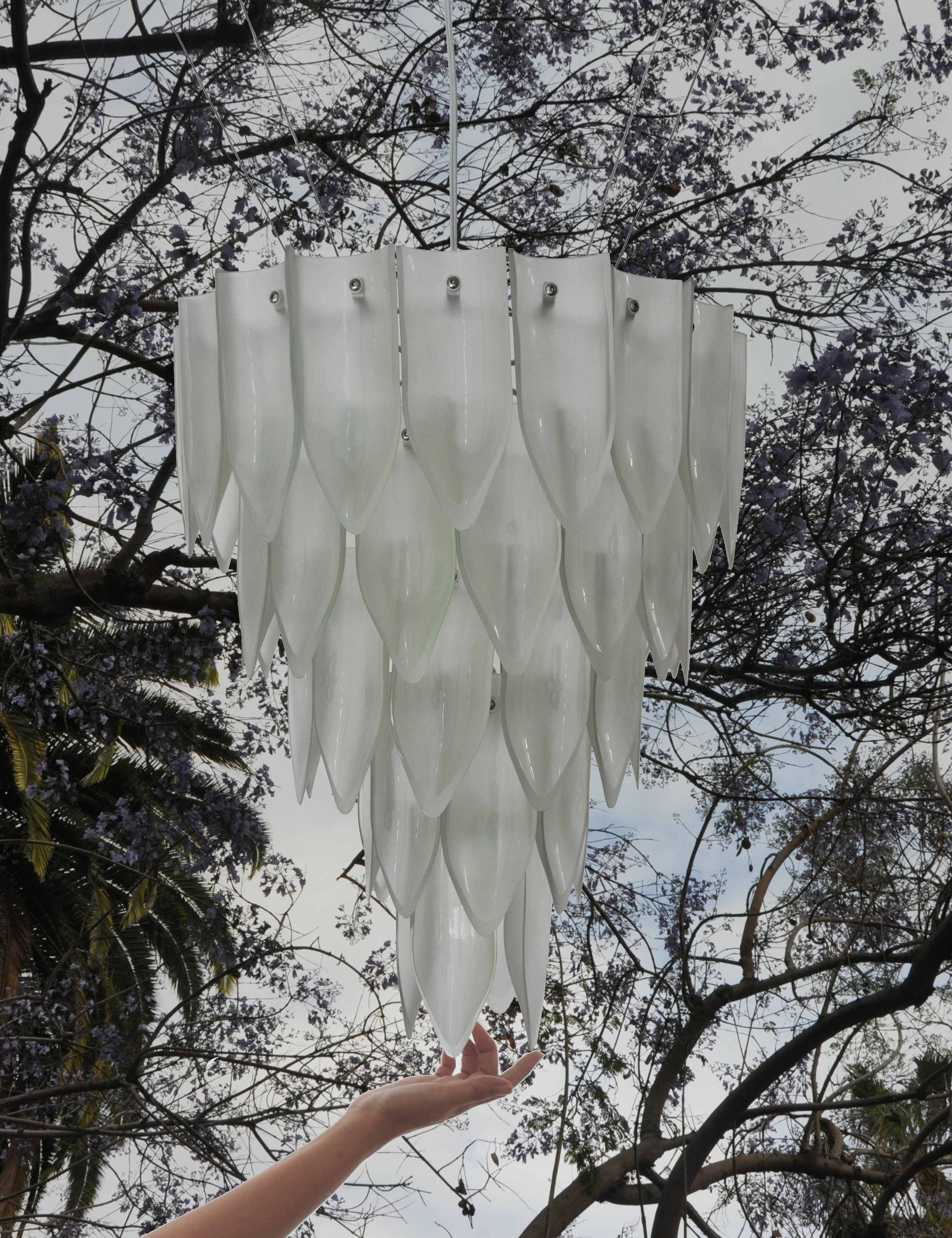 TRANSGLASS _tree.jpg