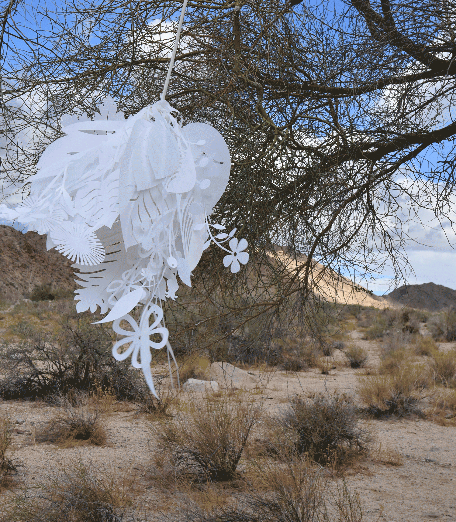 DSC_3385.gif