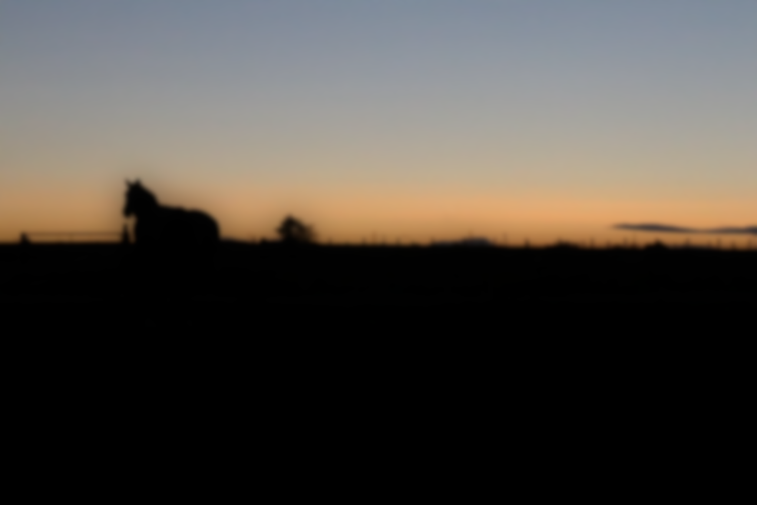 bg.png