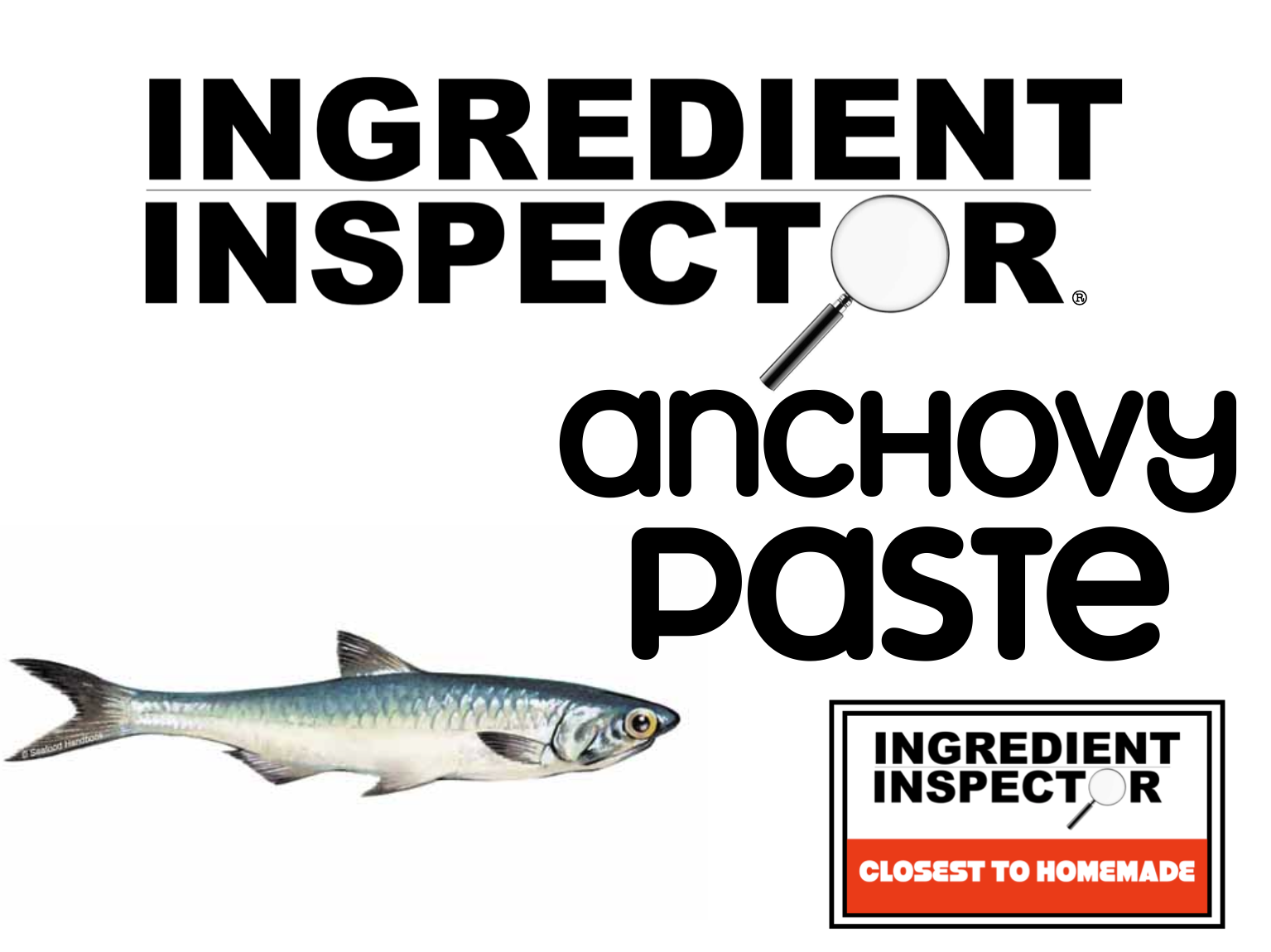 WHICH ANCHOVY PASTES ARE CLOSEST TO HOMEMADE?