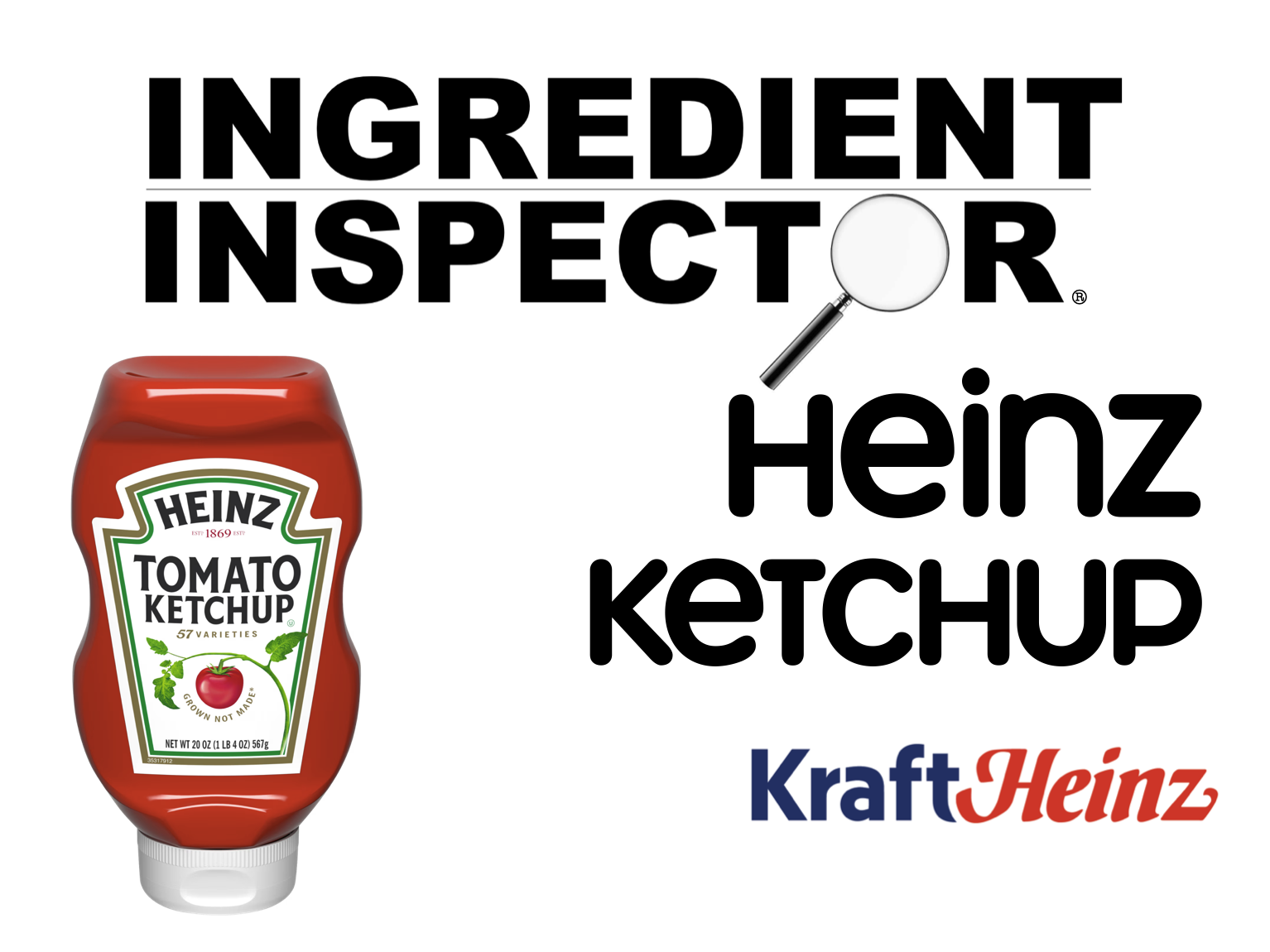 WHAT'S IN HEINZ KETCHUP?