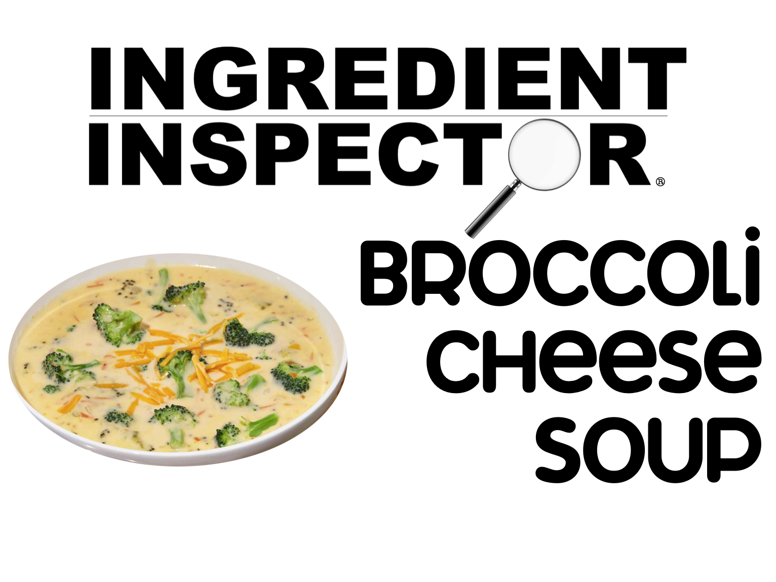 WHAT'S IN BROCCOLI CHEESE SOUPS?