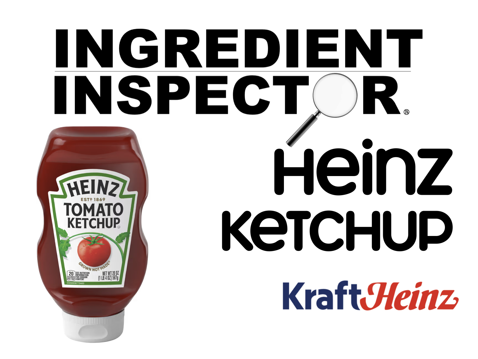 WHAT'S IN HEINZ KETCHUP?