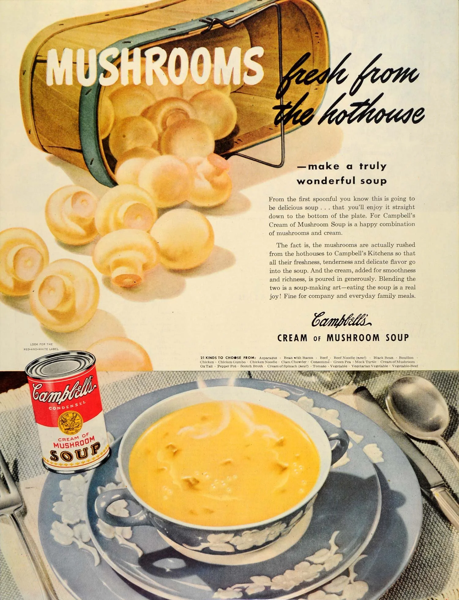 WHAT'S IN CAMPBELL'S CREAM OF MUSHROOM SOUP? — Ingredient Inspector