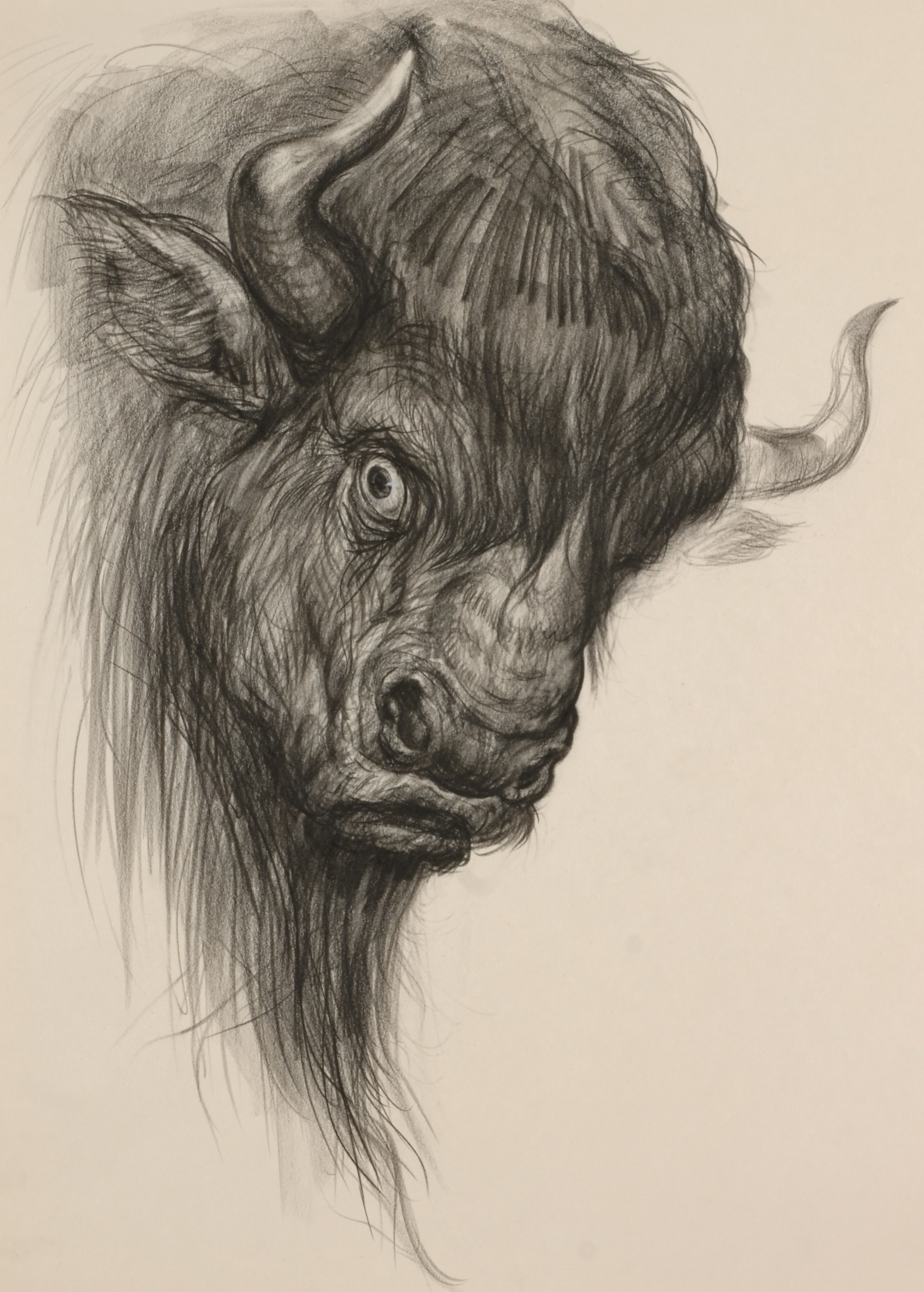 BUFFALO