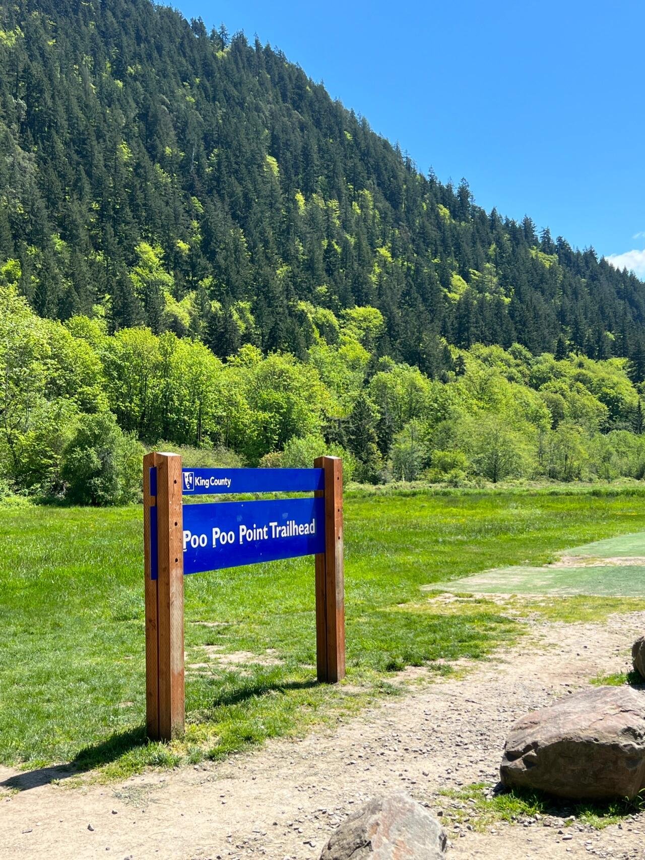 Paranormal Timber Sale on Tiger Mountain