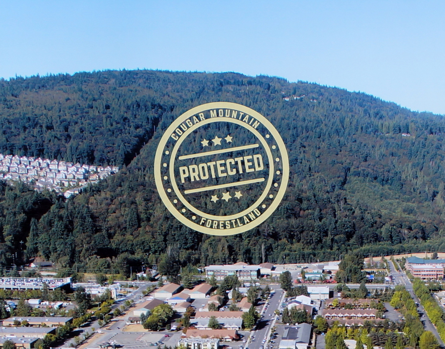 Bergsma Purchase Celebration