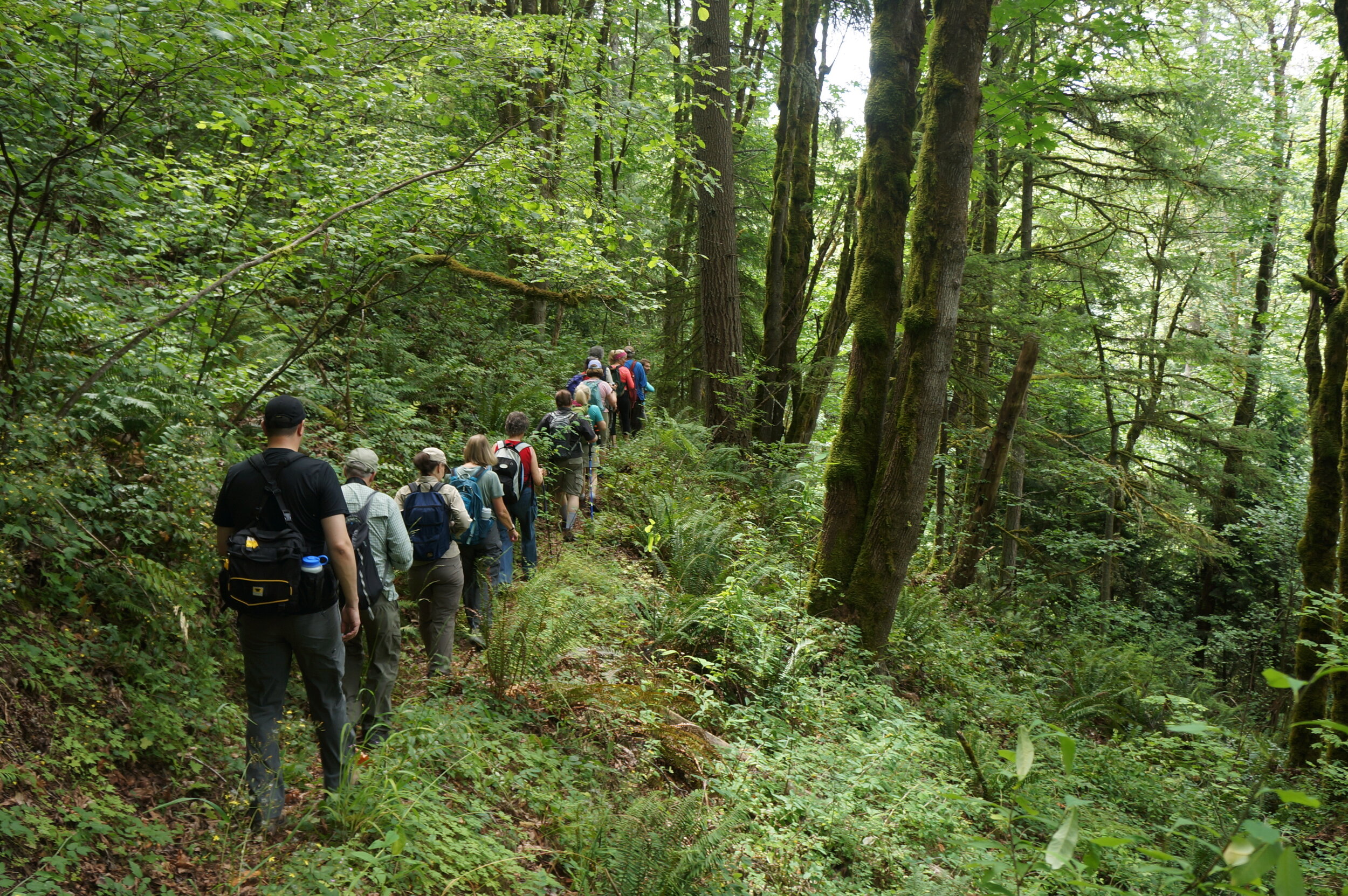 Hiking 101: The Ten Essentials