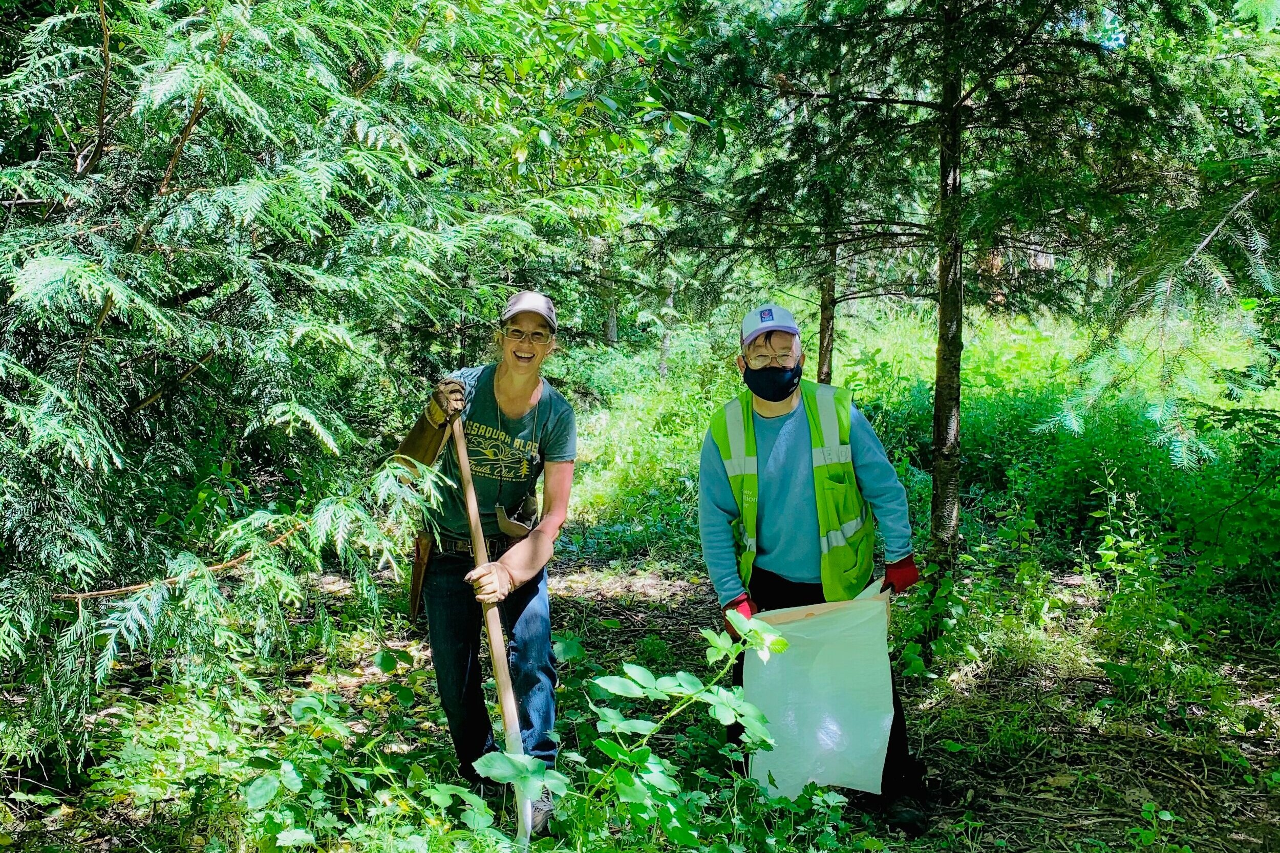 IATC and Green Issaquah Volunteers Continue Work at Berntsen Park