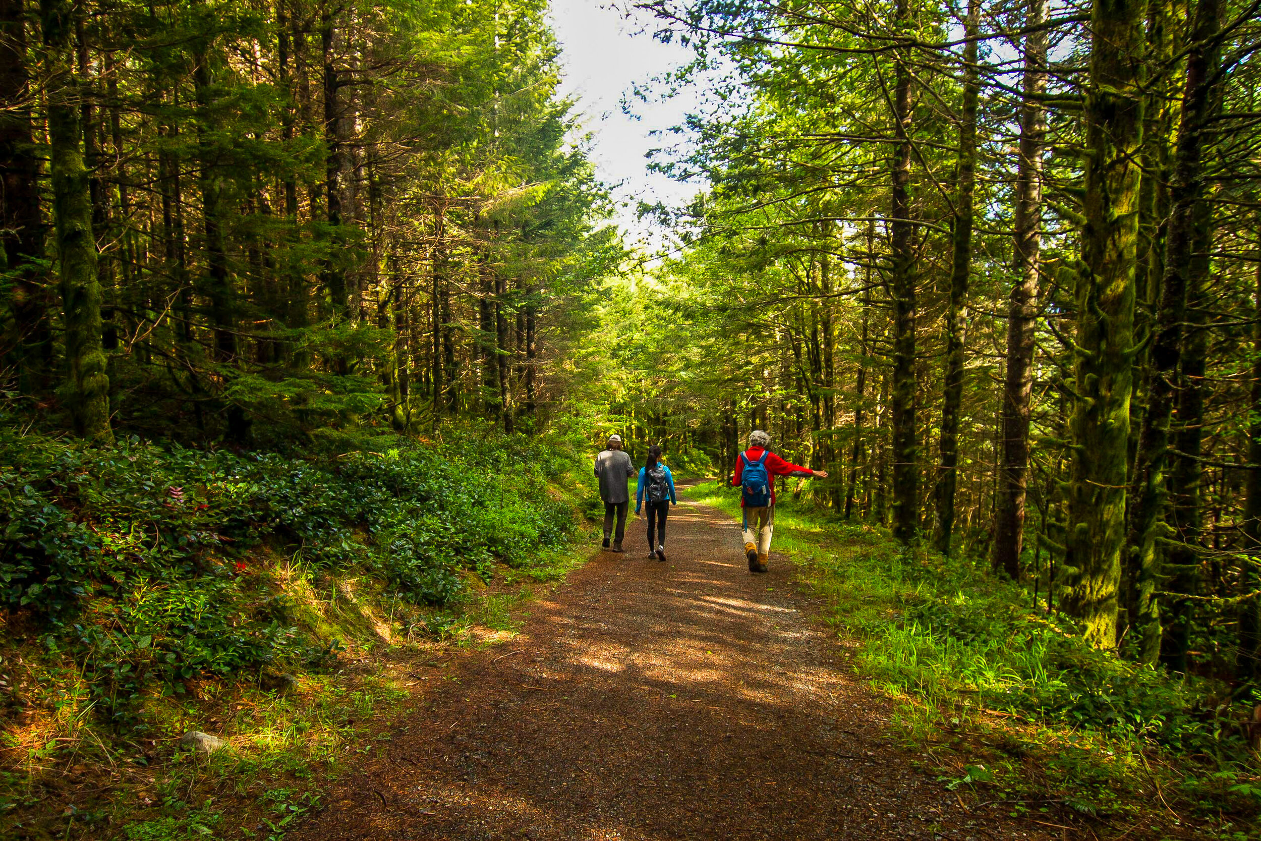 Tiger Mountain Harvest Update- Weyerhaeuser to Open West Tiger Mountain Ownership For Permanent Public Access