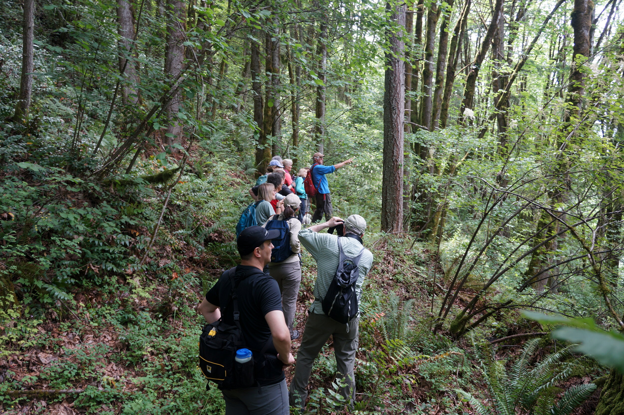 Forest Carbon Hike: Harvey Manning Park