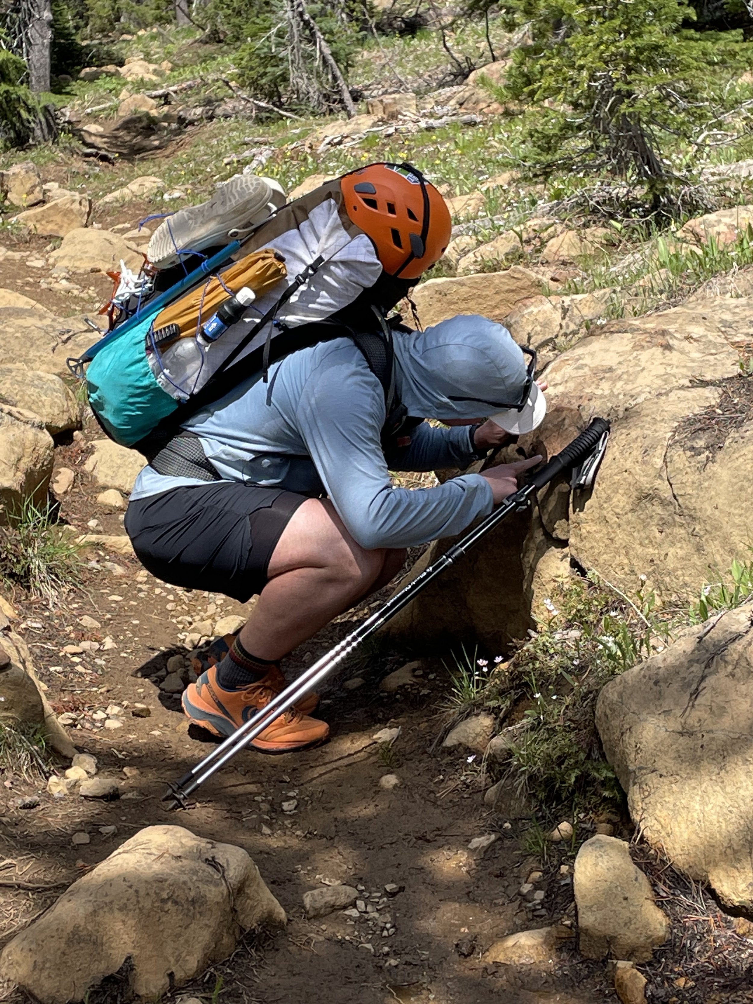 Geology of the Grand Canyon of Tiger Mountain