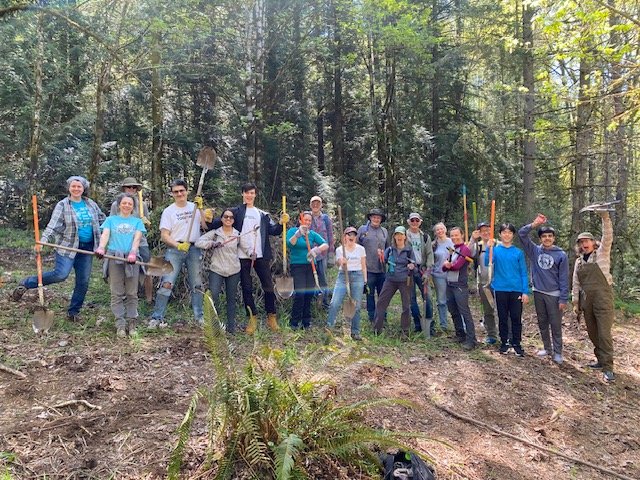 Restoration Event at Big Tree Ridge with King County Parks