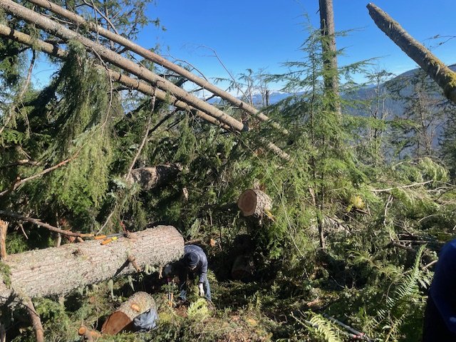 Trail Cleanup Event with WA State Parks at Squak Mountain