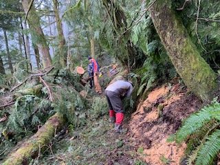Trail Cleanup Event with WA State Parks at Squak Mountain