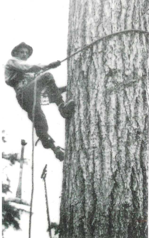 Partner Event: History of Eastside Logging