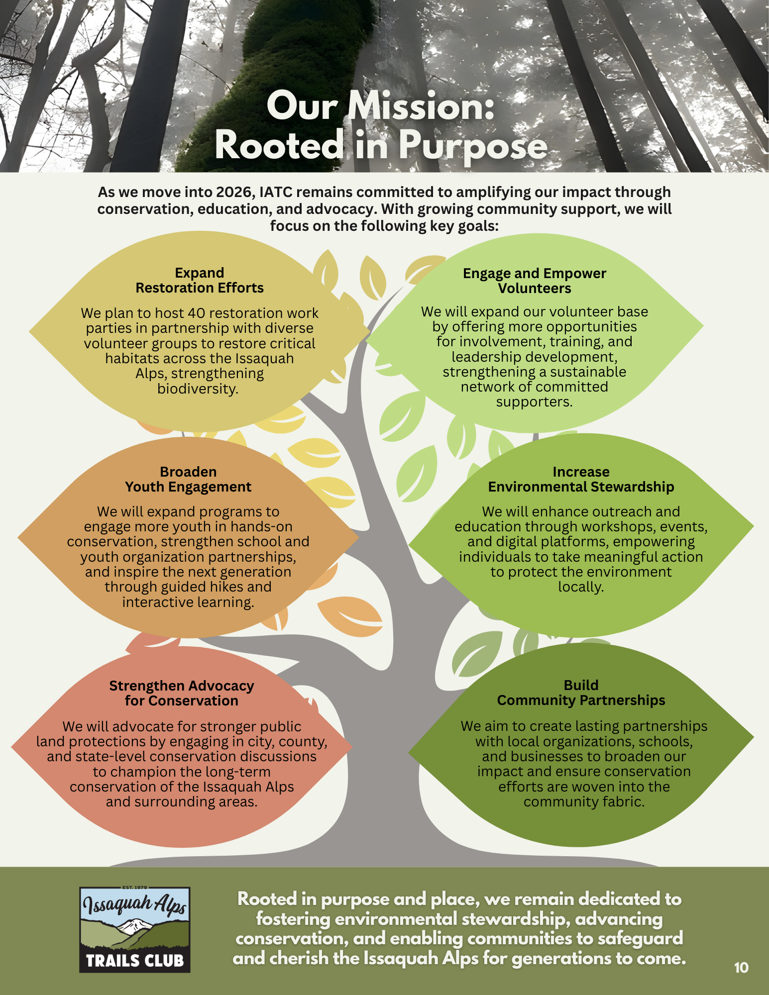 Our Mission: Rooted in Purpose