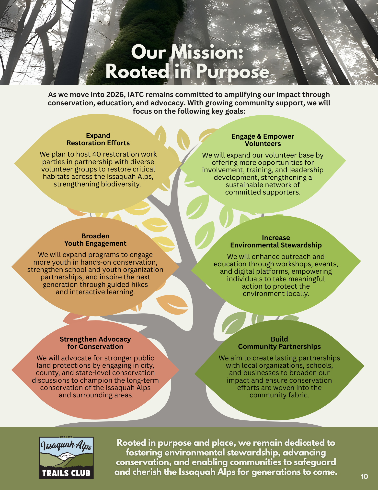 Our Mission: Rooted in Purpose