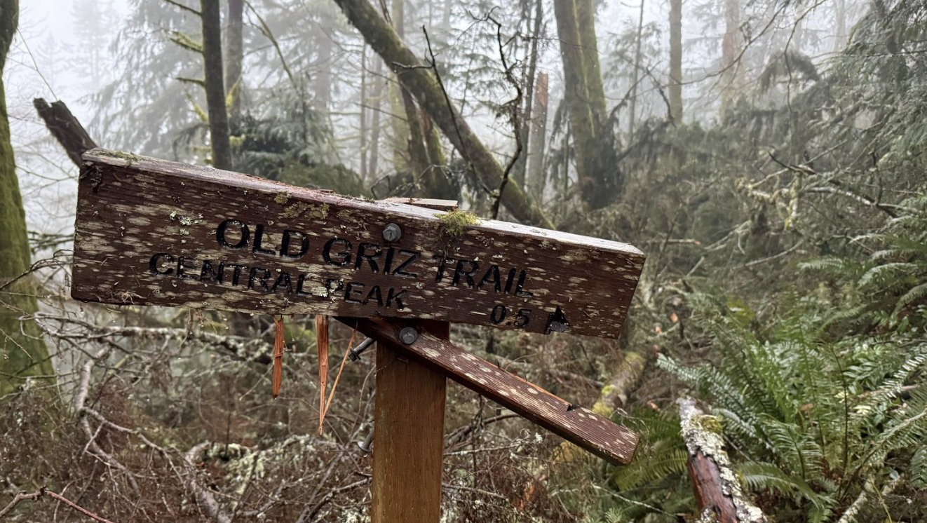 Squak Mountain Celebration Hike