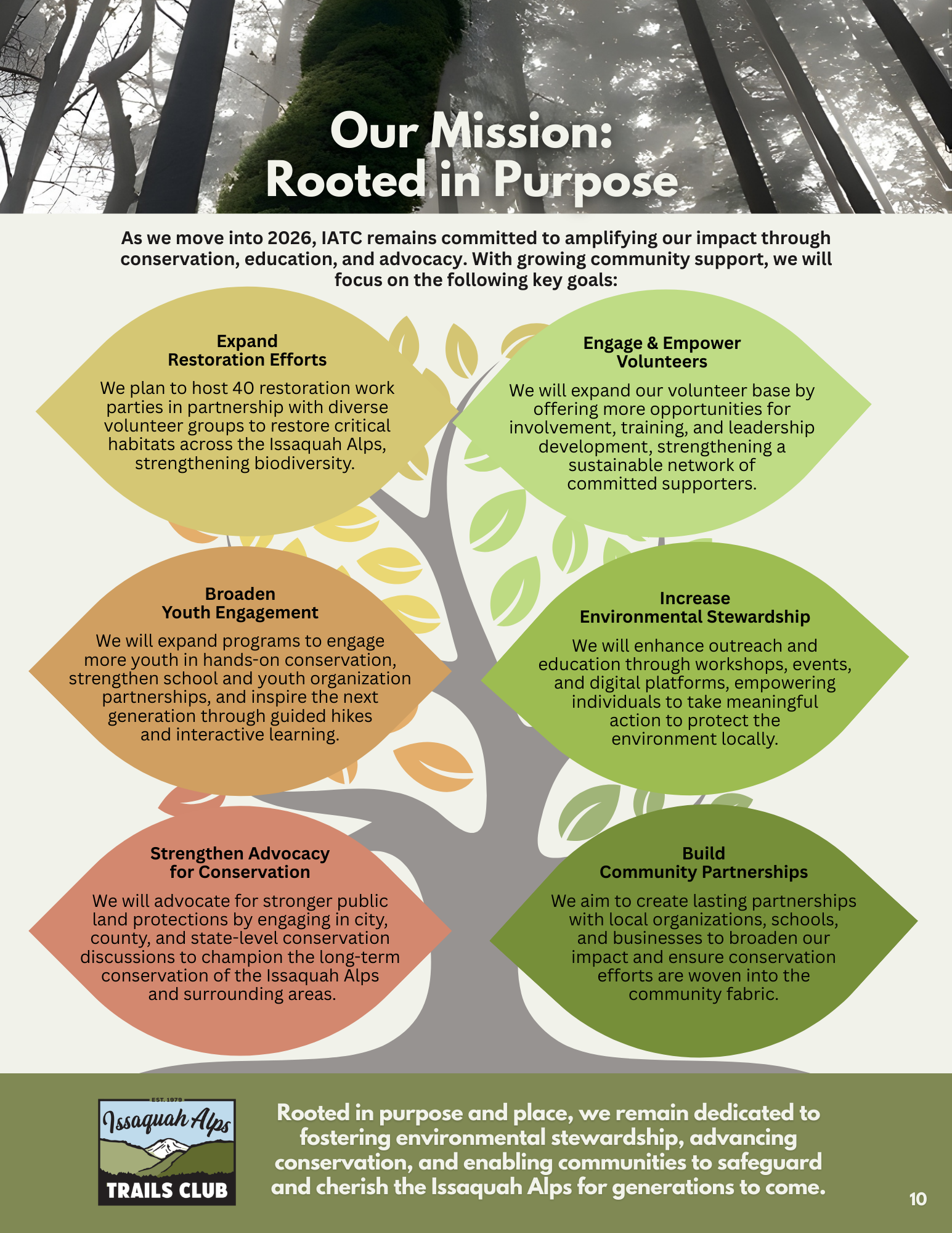 Our Mission: Rooted in Purpose