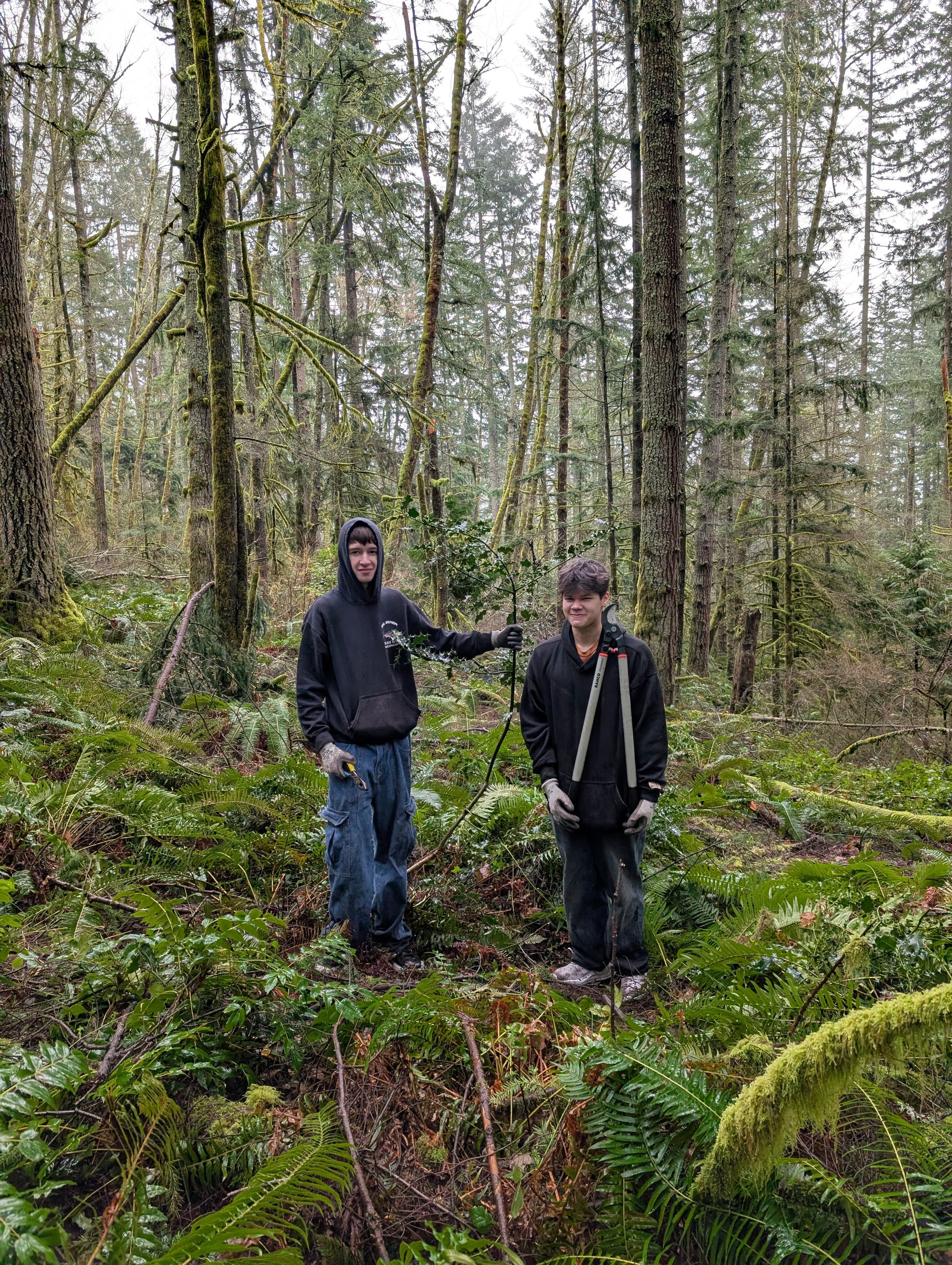 Restoration Event on Squak Mountain with WA State Parks 
