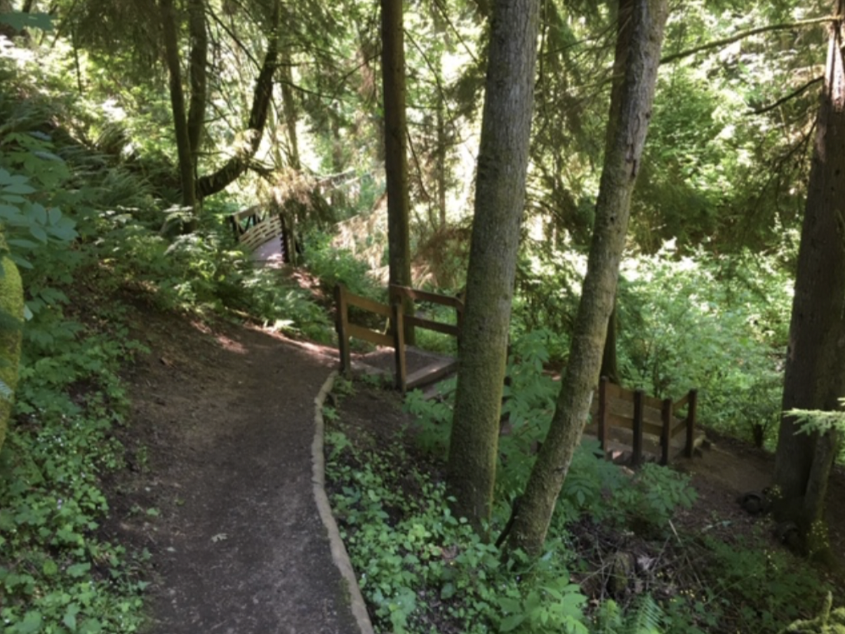 Partner Event: Primrose Trail Walk