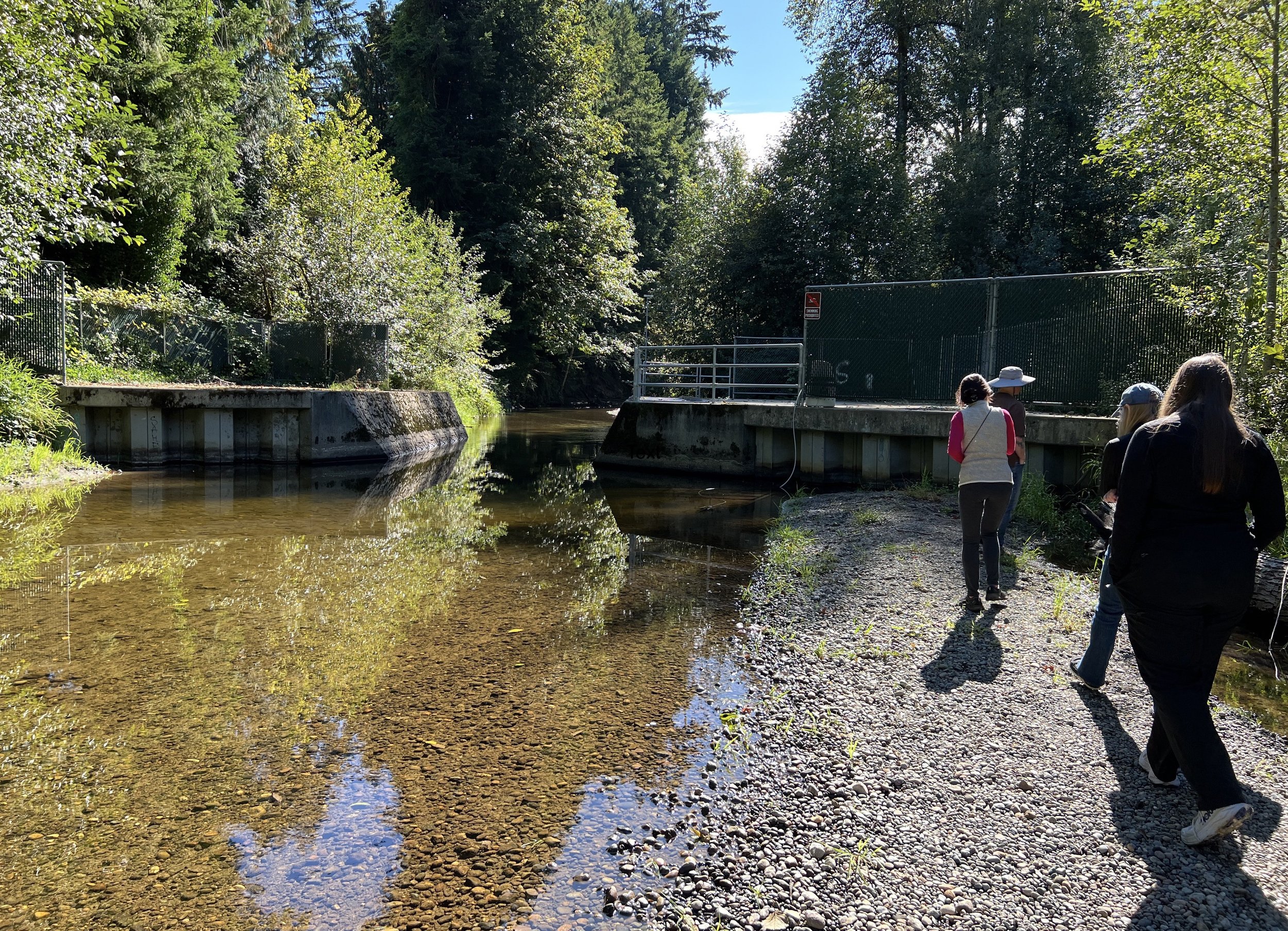 Issaquah Creek Habitat Hike with FISH