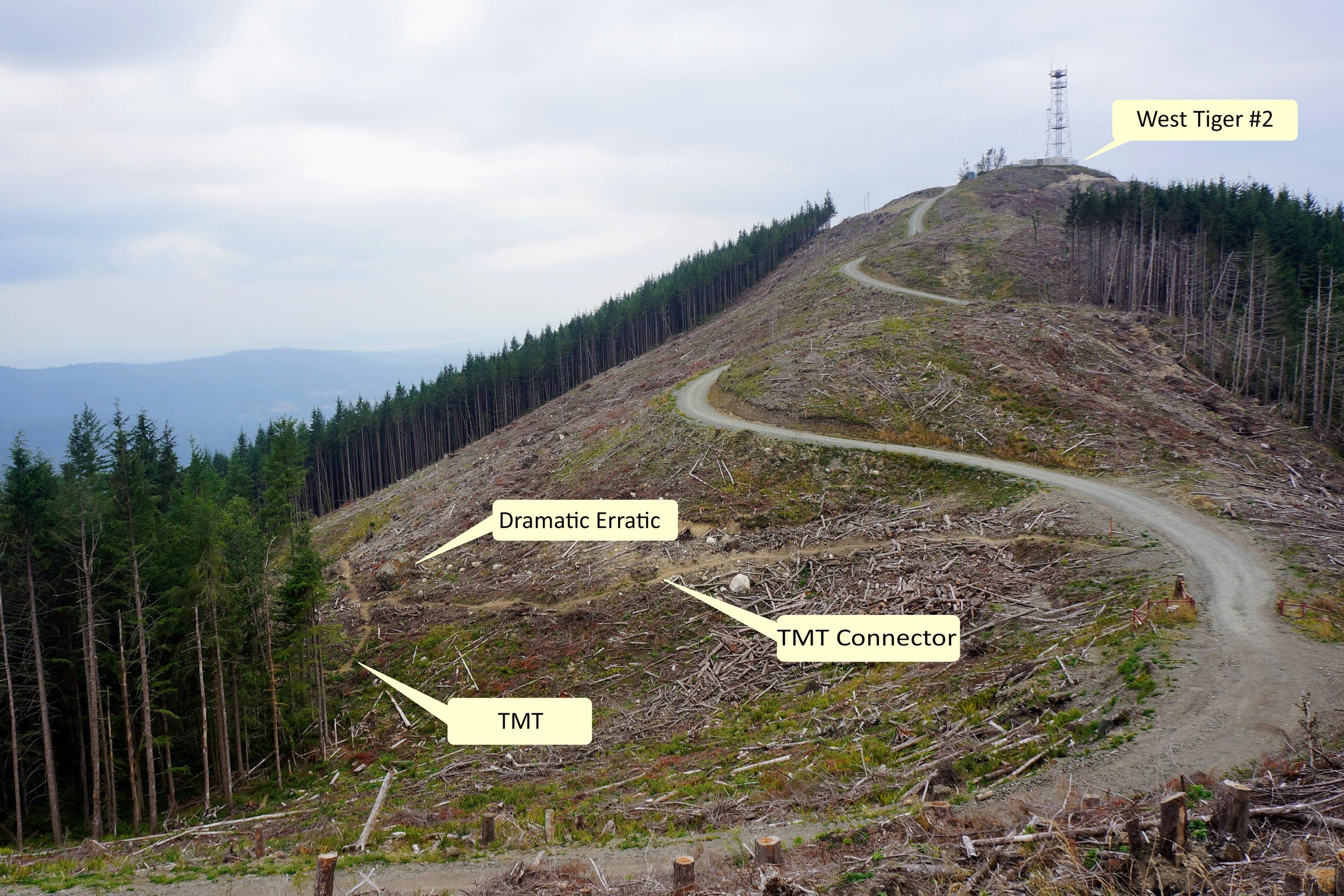 Trail News: A Tiger Mountain Trail Rebuild Update — Issaquah Alps ...