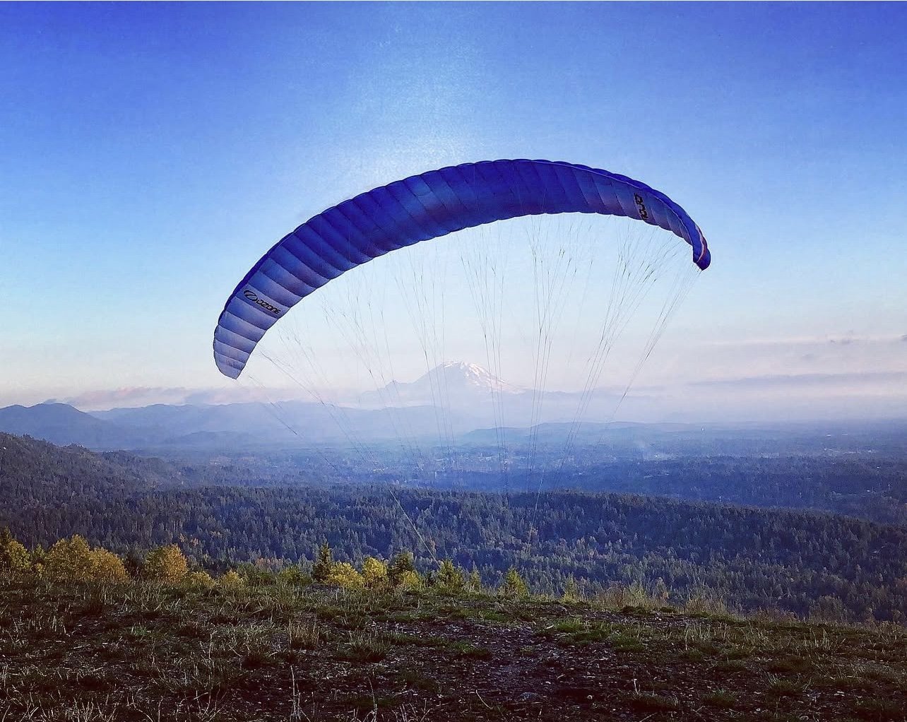 Letter from the Executive Director: A Year of Growth and Resilience