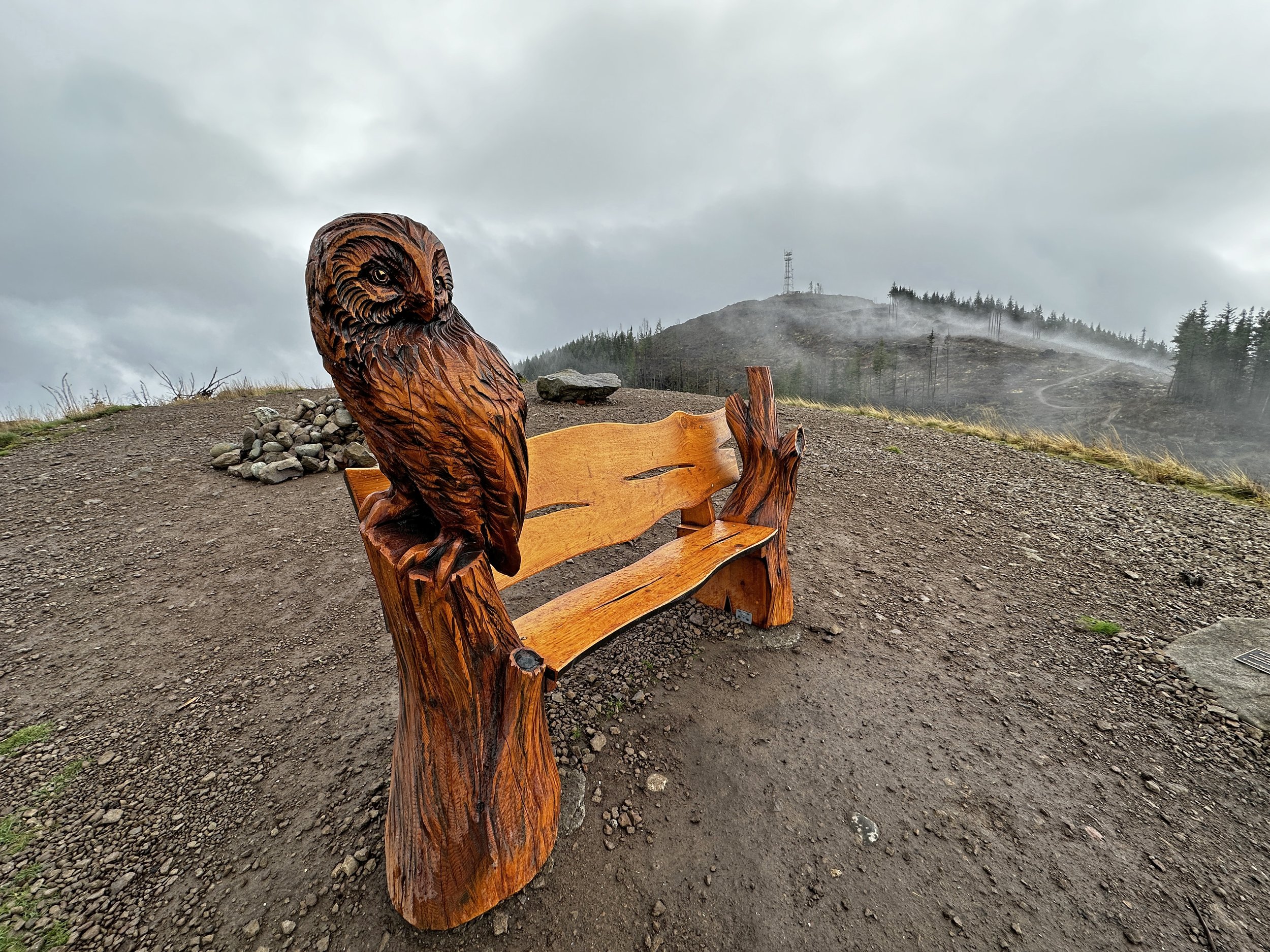 West Tiger #3 via Tiger Mountain Trail