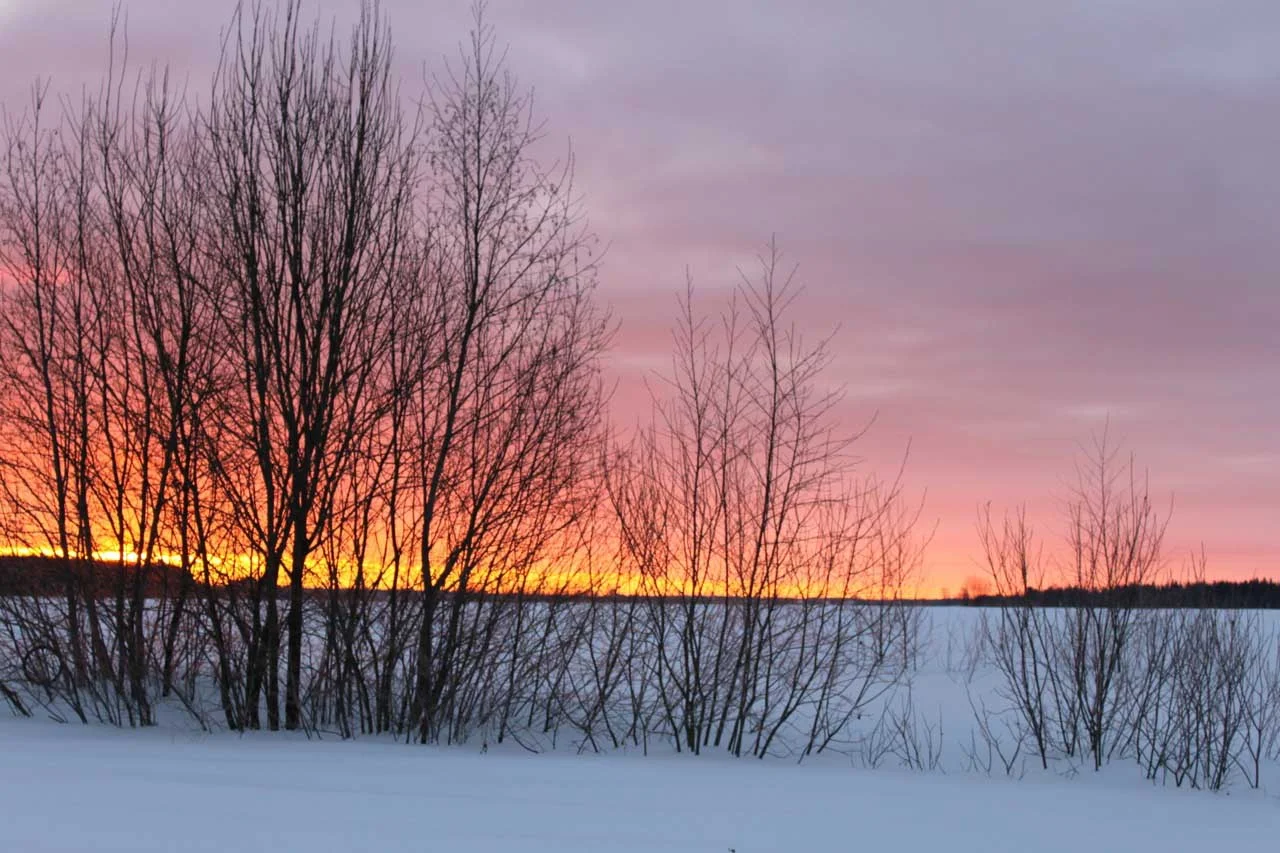  Olga Feshina   Frosty Morning.  2011  photo   
