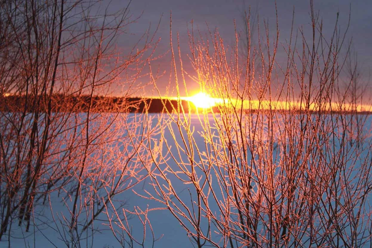 FROSTY MORNING