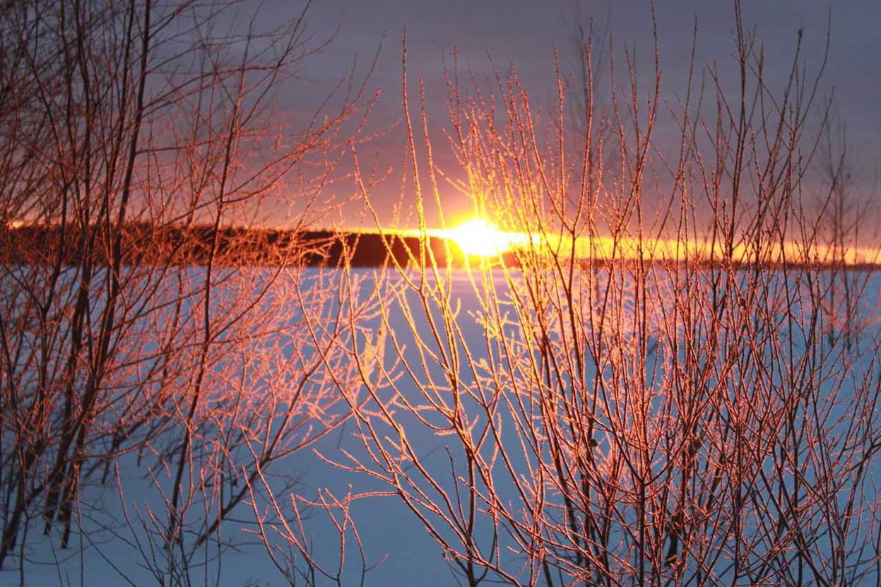  Olga Feshina   Frosty Morning.  2011  photo 