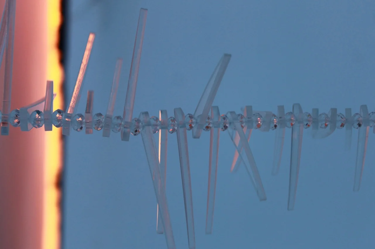 ICICLES. FROSTY MORNING.