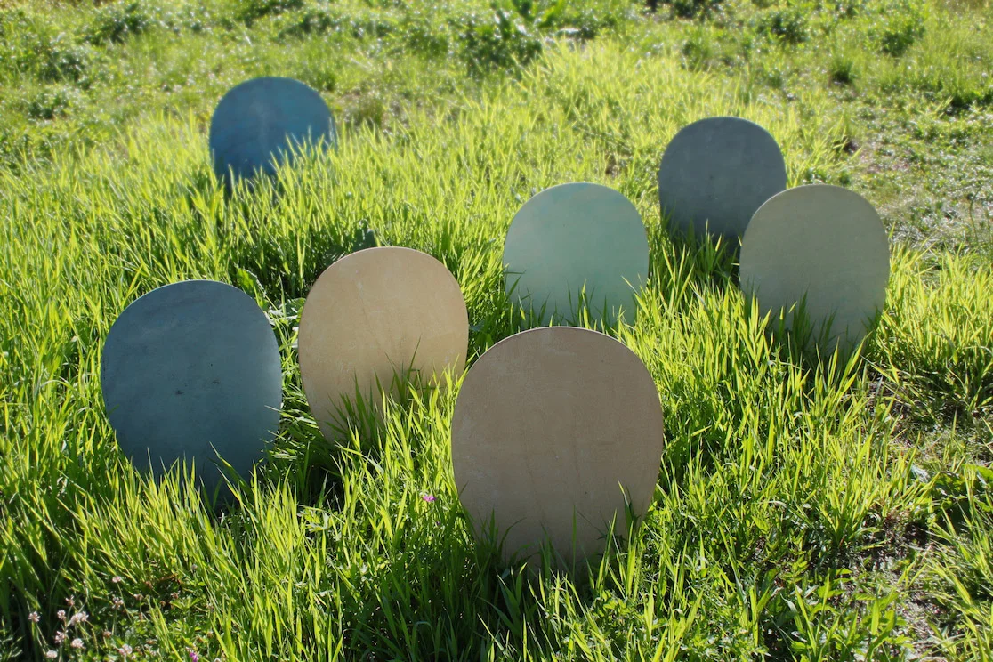 SHOW SUMMER EGGS AT HOME PARTY AT VOLGA RIVER