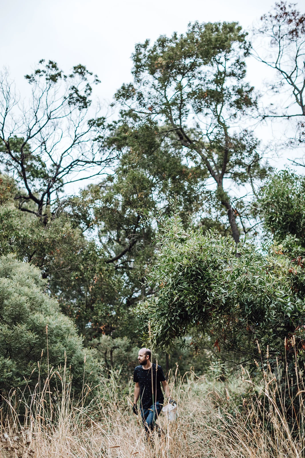 Image / Dish Description