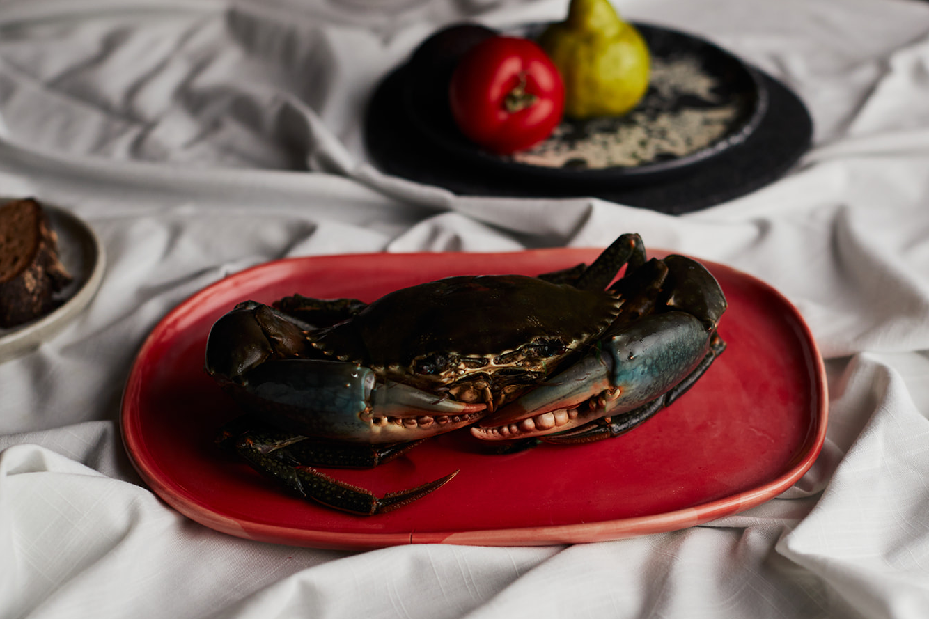 Navi Home X Robert Gordon — Restaurant Navi