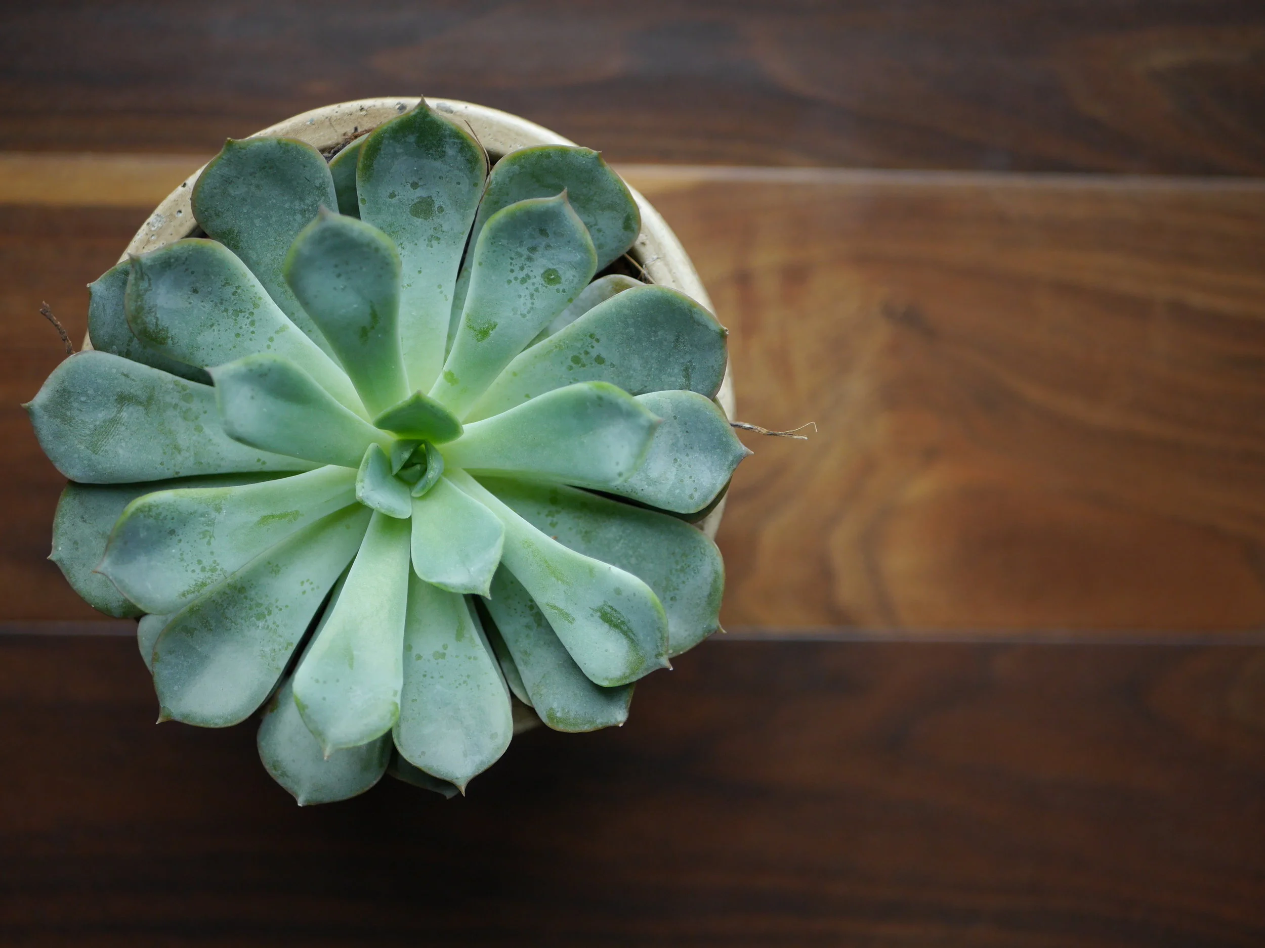 Doing The Deeper Work