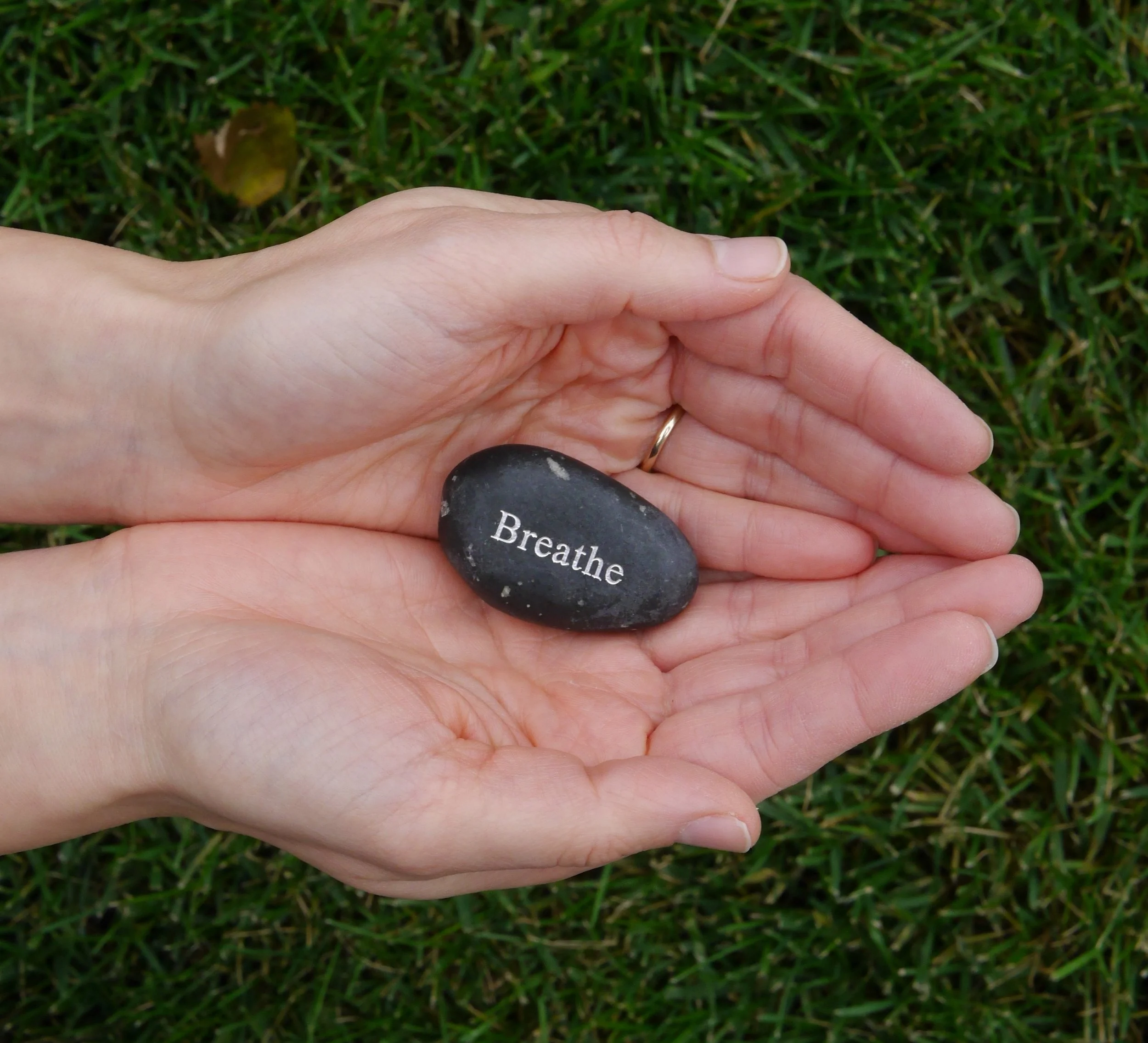 Feelings Aren't Facts