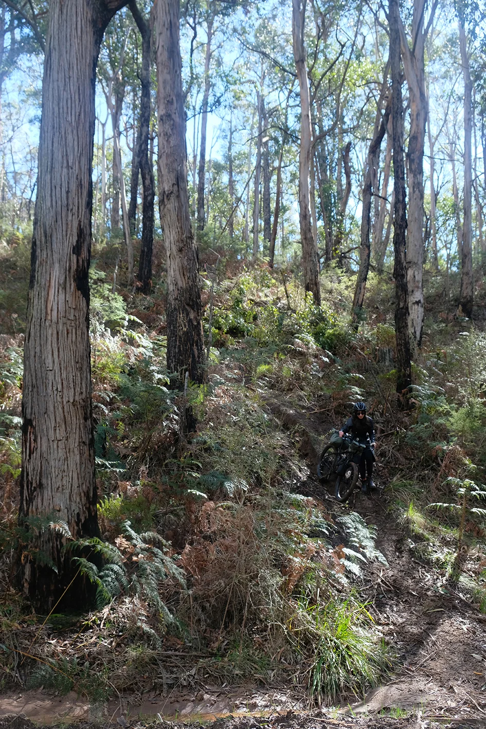 DSCF3298.jpg