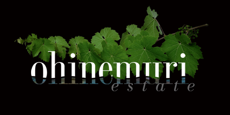 Cover-Page-800x400.gif