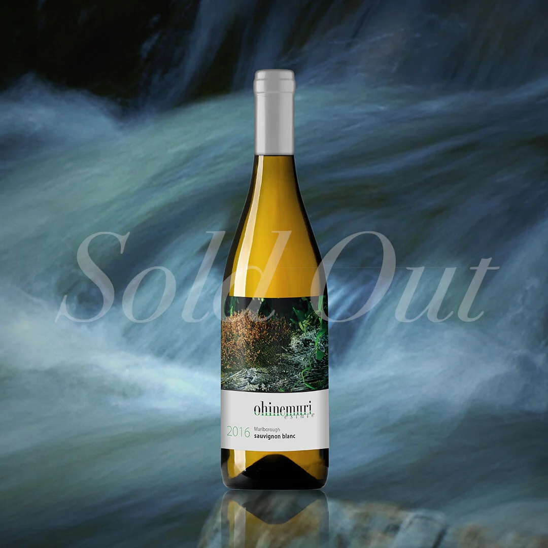 Sauvignon WEB_SoldOut.jpg