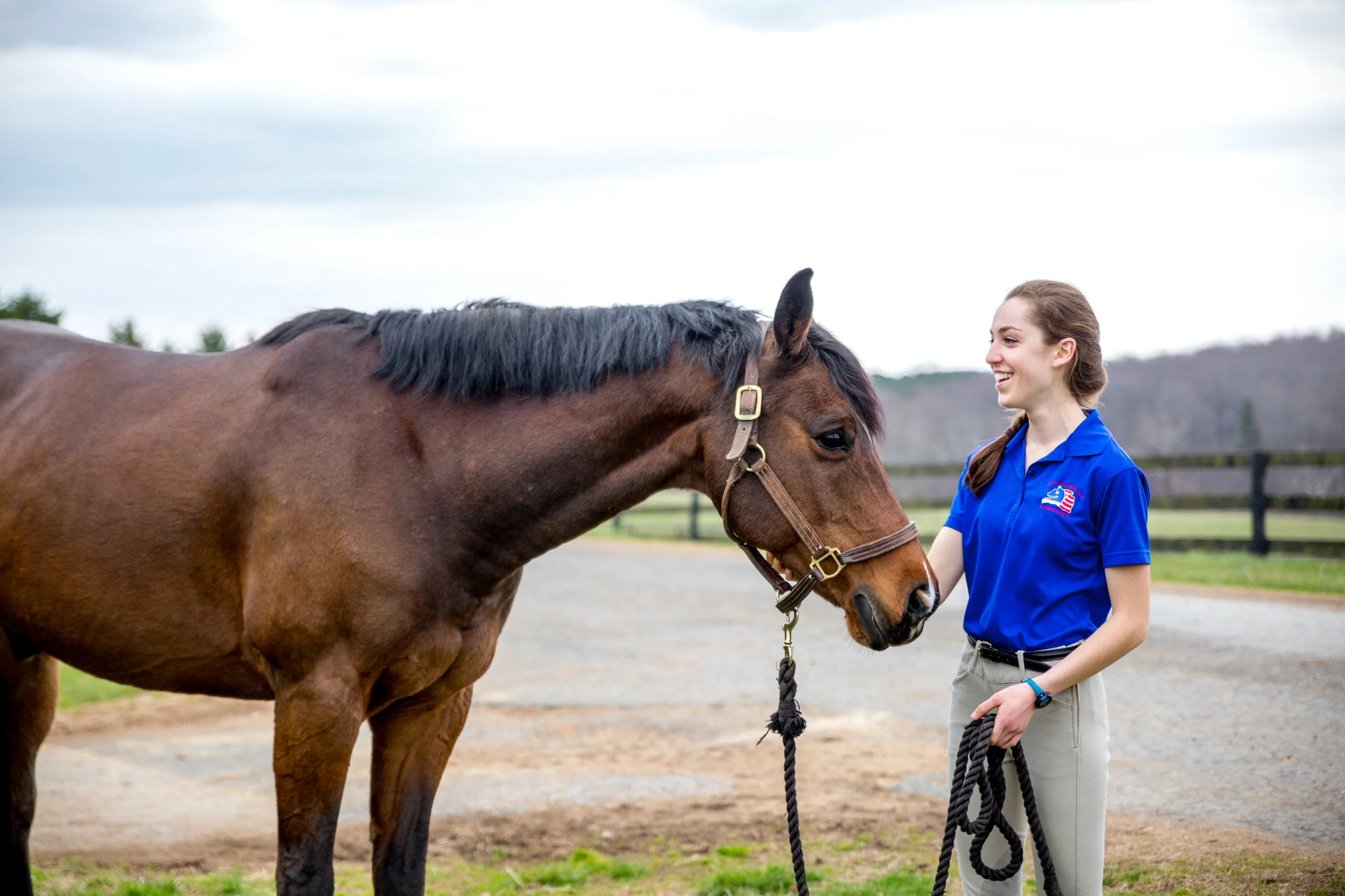 Horse-0982.jpg