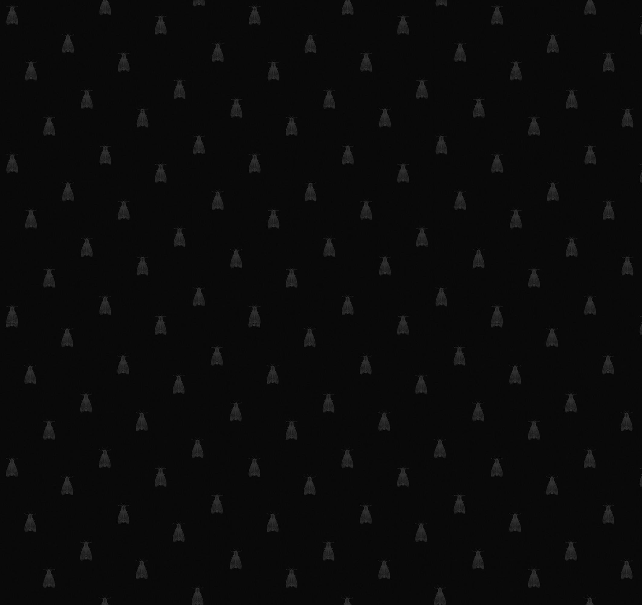 mothsblack03_instagrambg.jpg